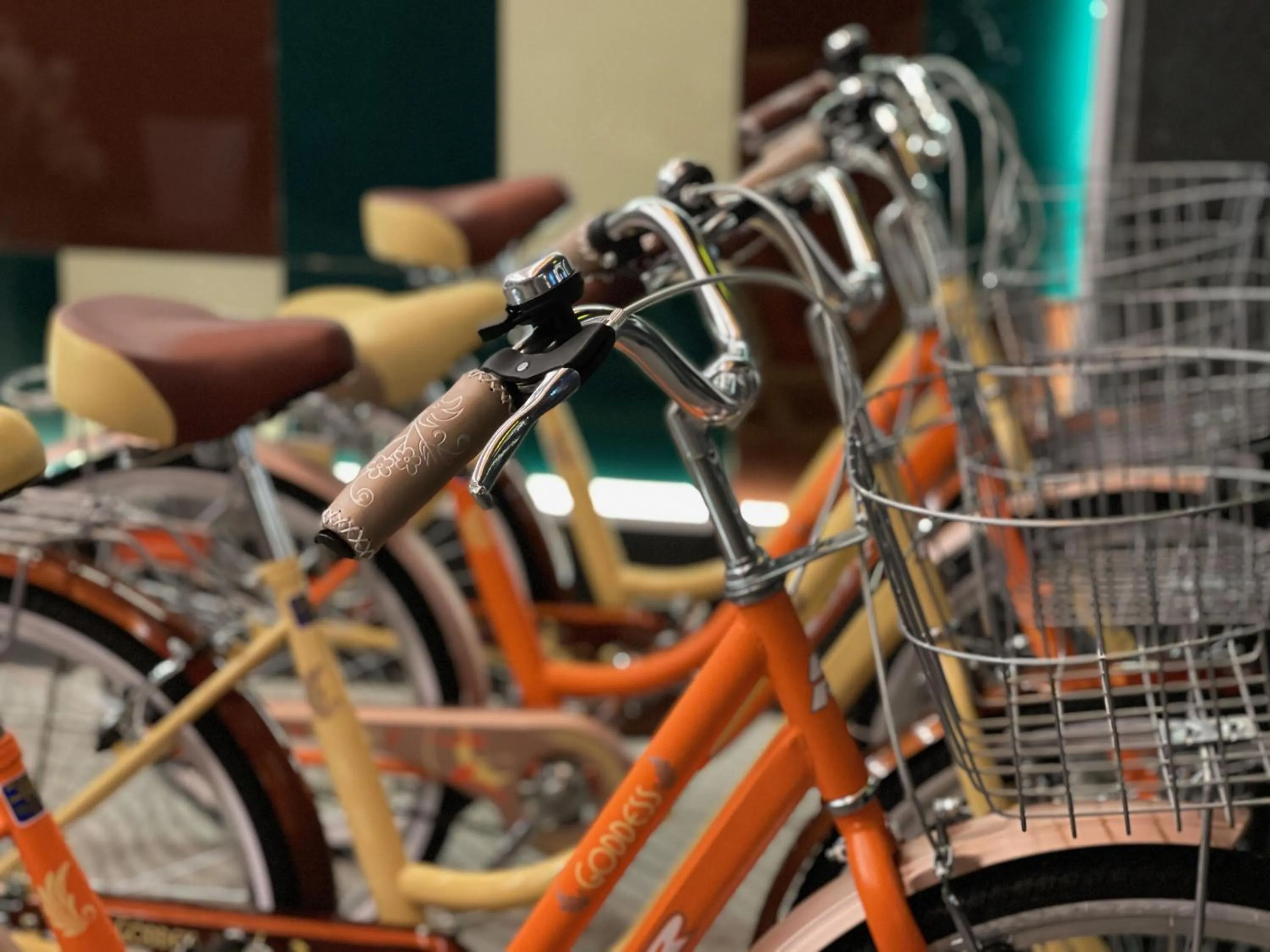 Cycling in Cadillac Hotel Boutique