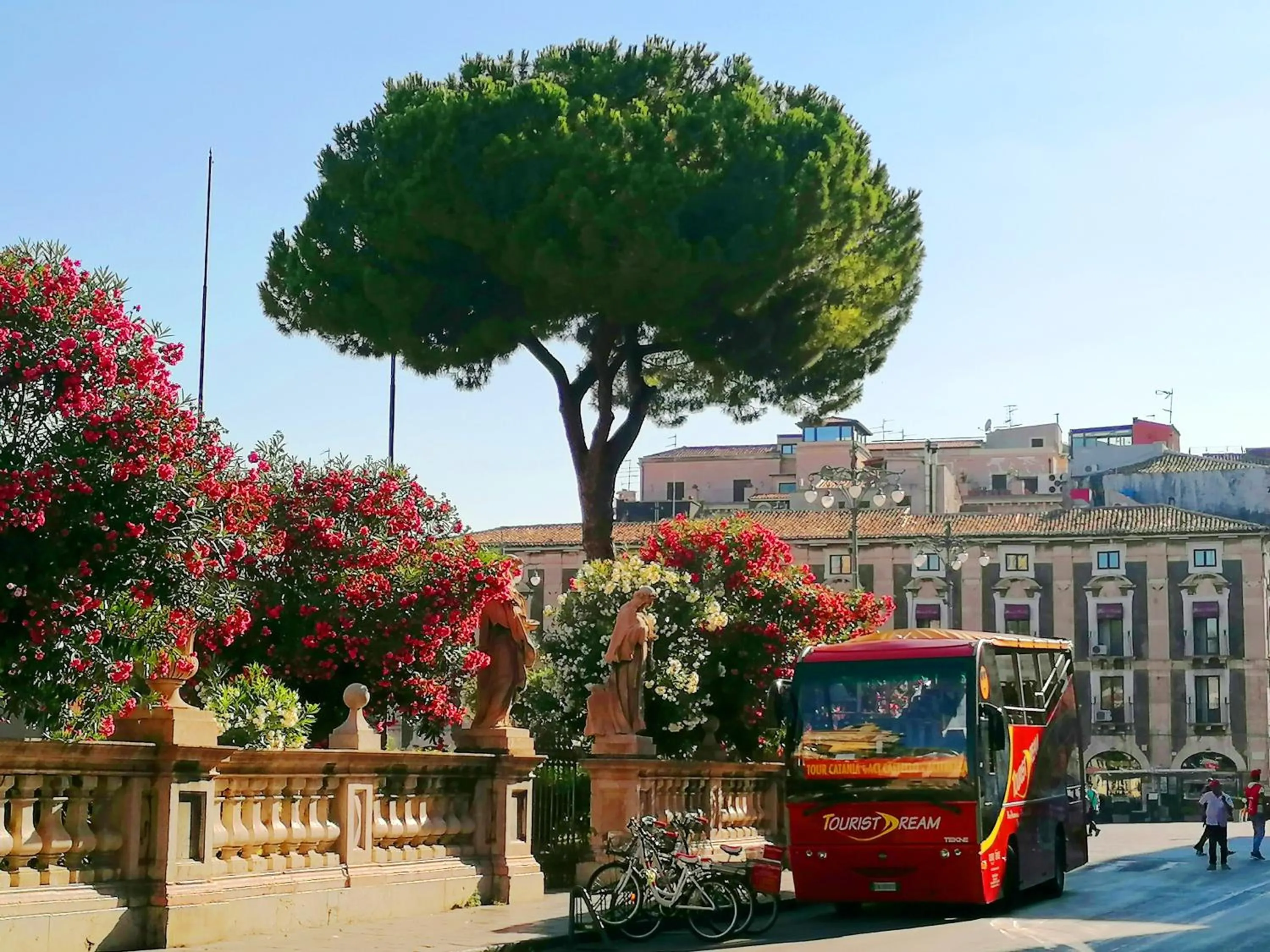 Neighbourhood in Diletta Oasi