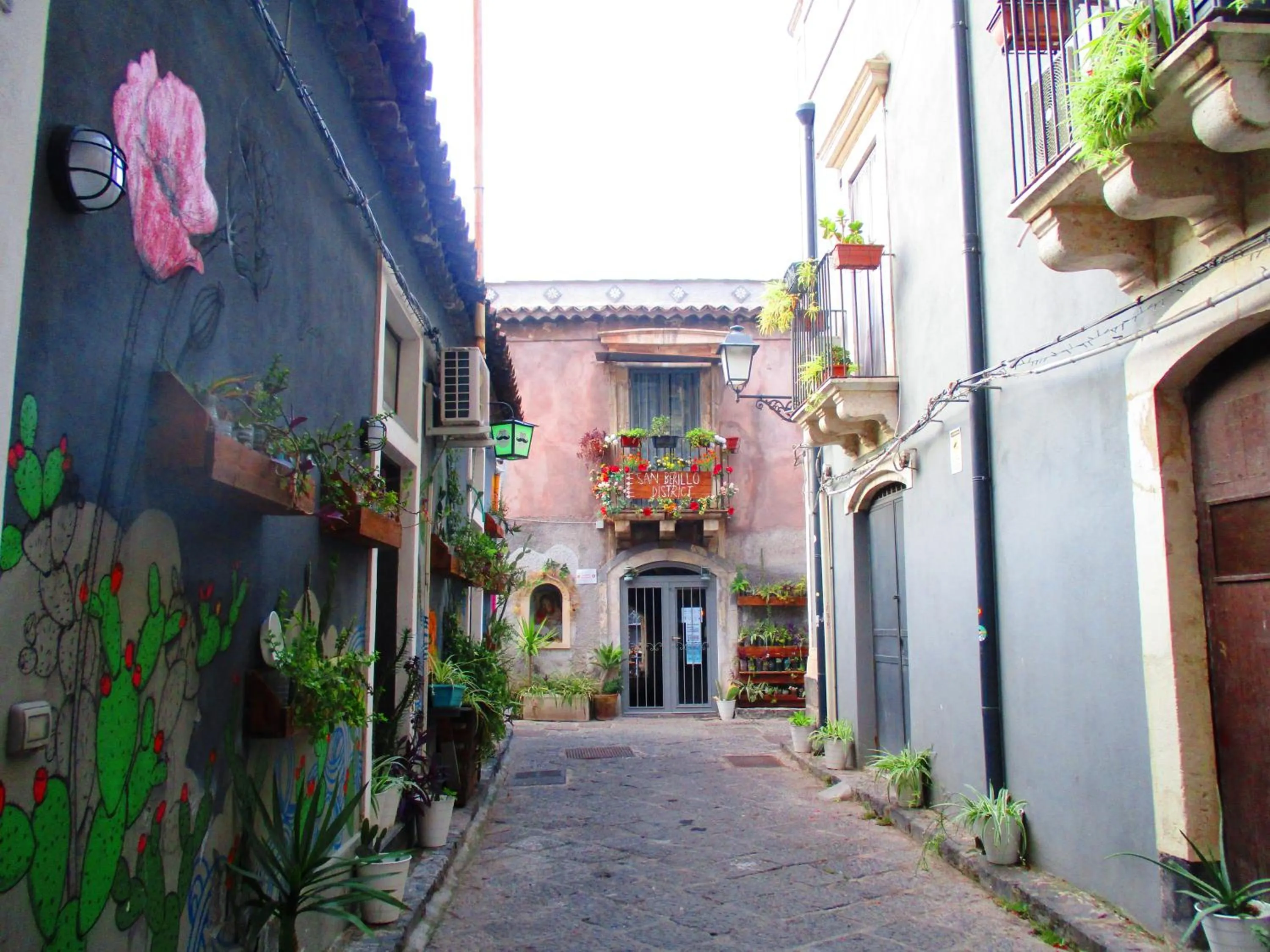 Neighbourhood in Diletta Oasi