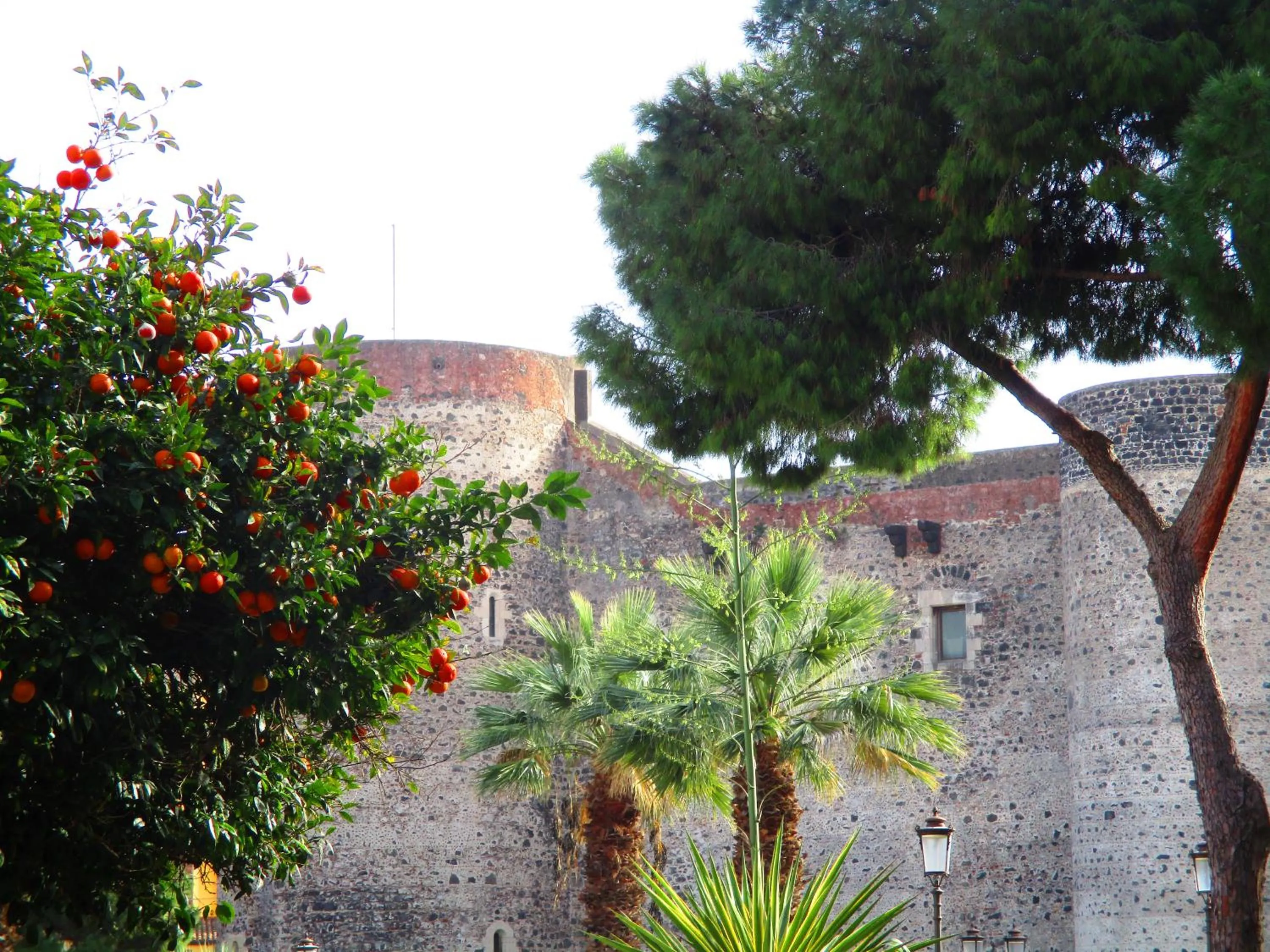 Nearby landmark in Diletta Oasi