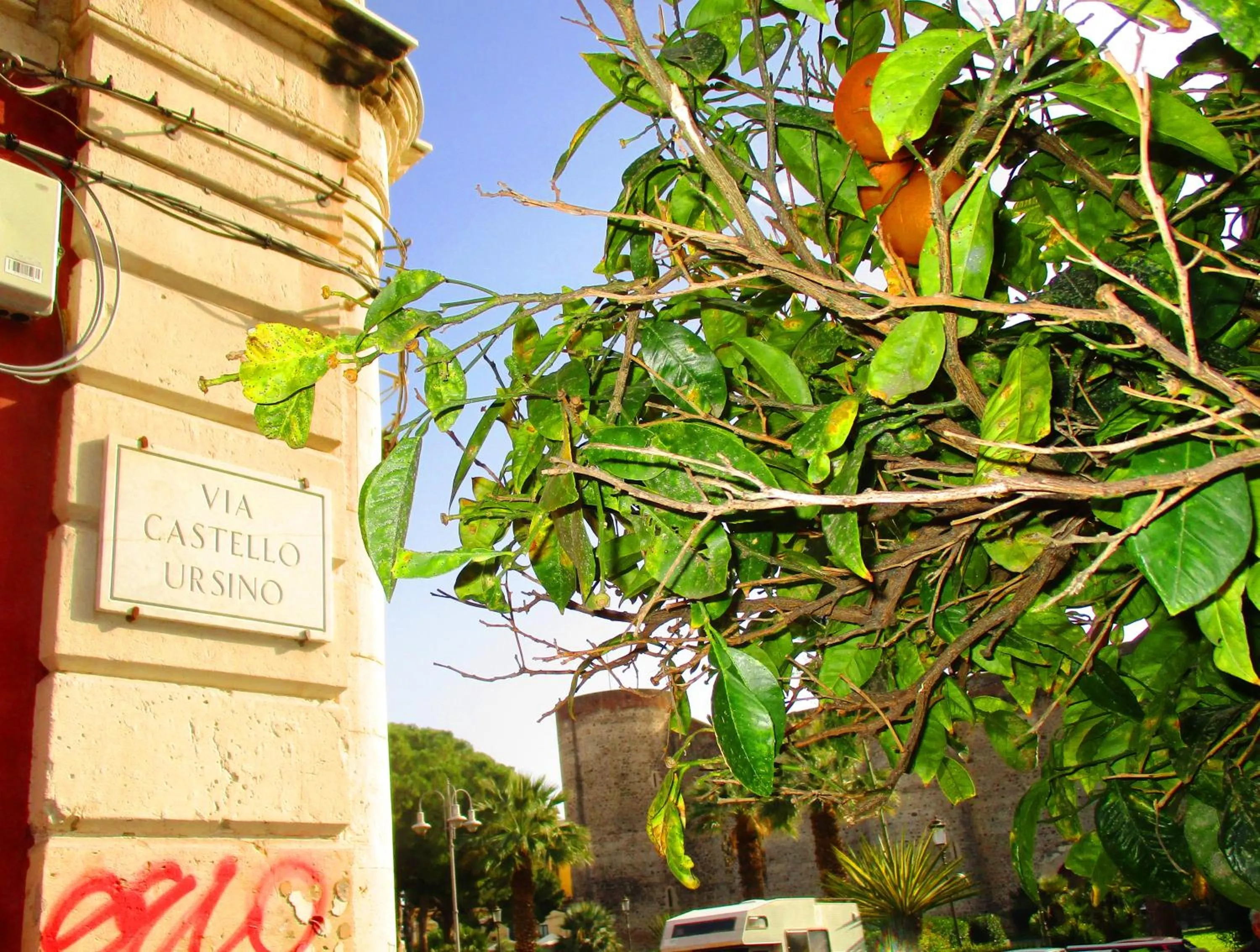 Area and facilities in Diletta Oasi