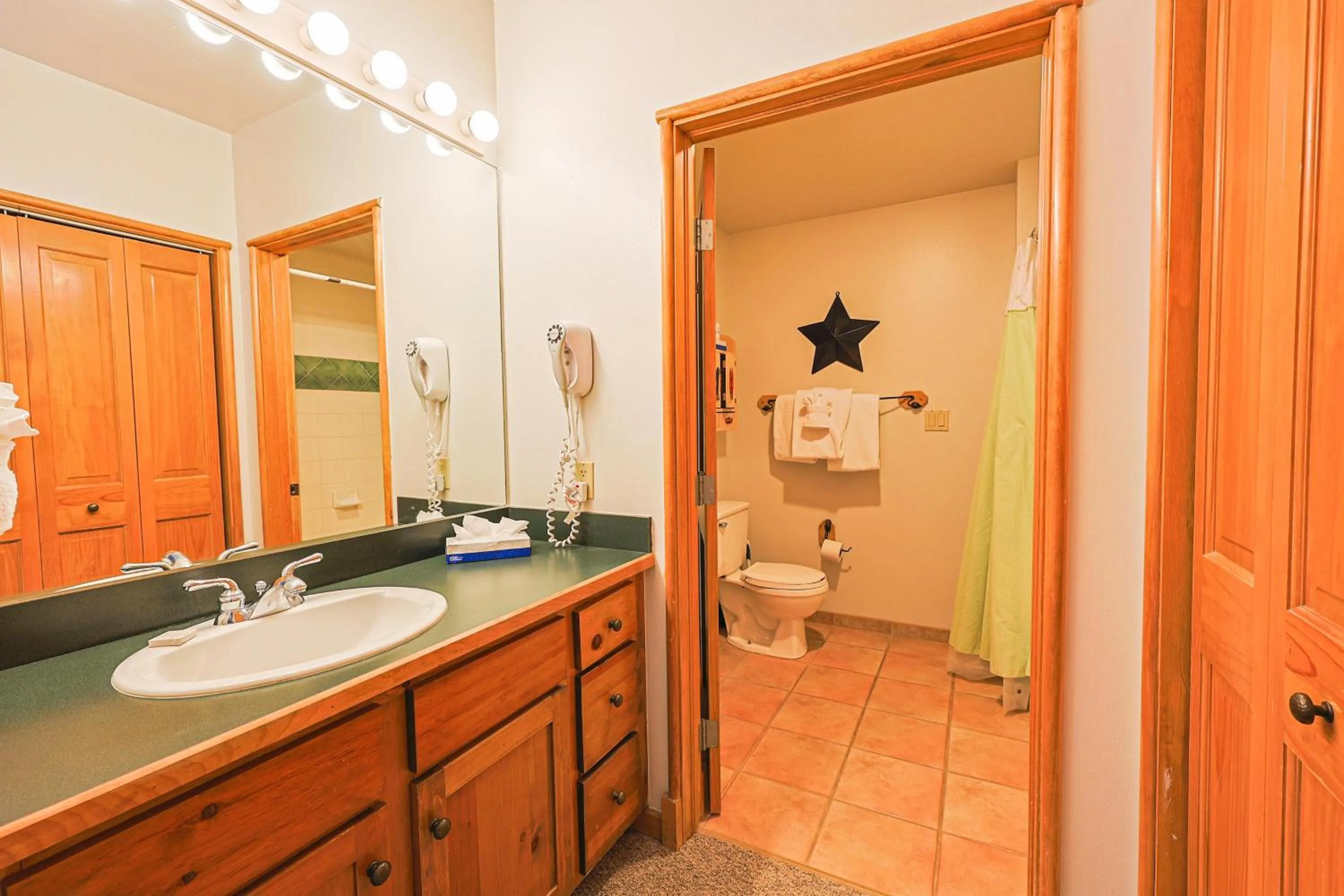 Toilet in Black Bear 2 Bed 2 Bath BBCS