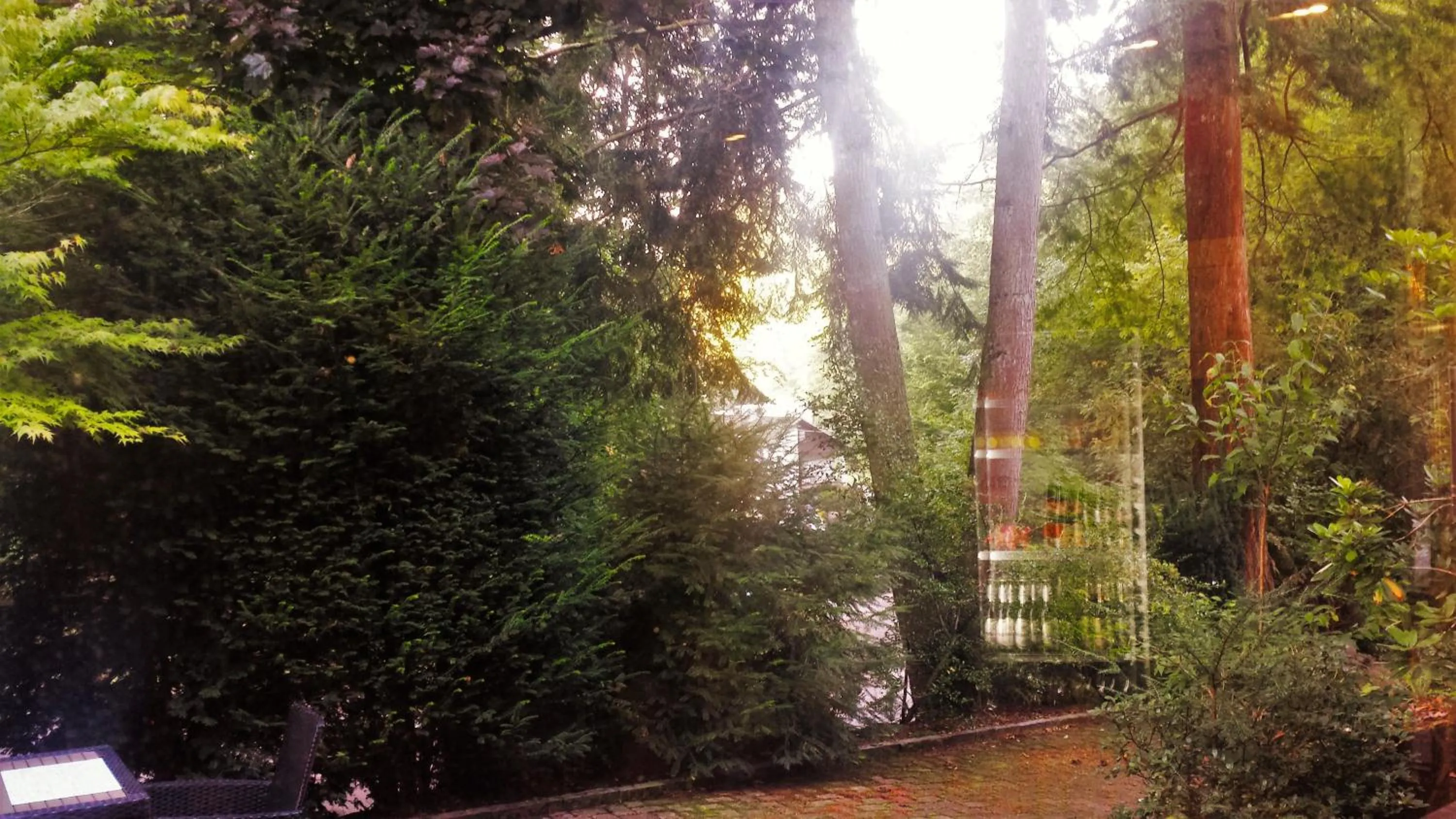 Garden in Siegerland-Hotel