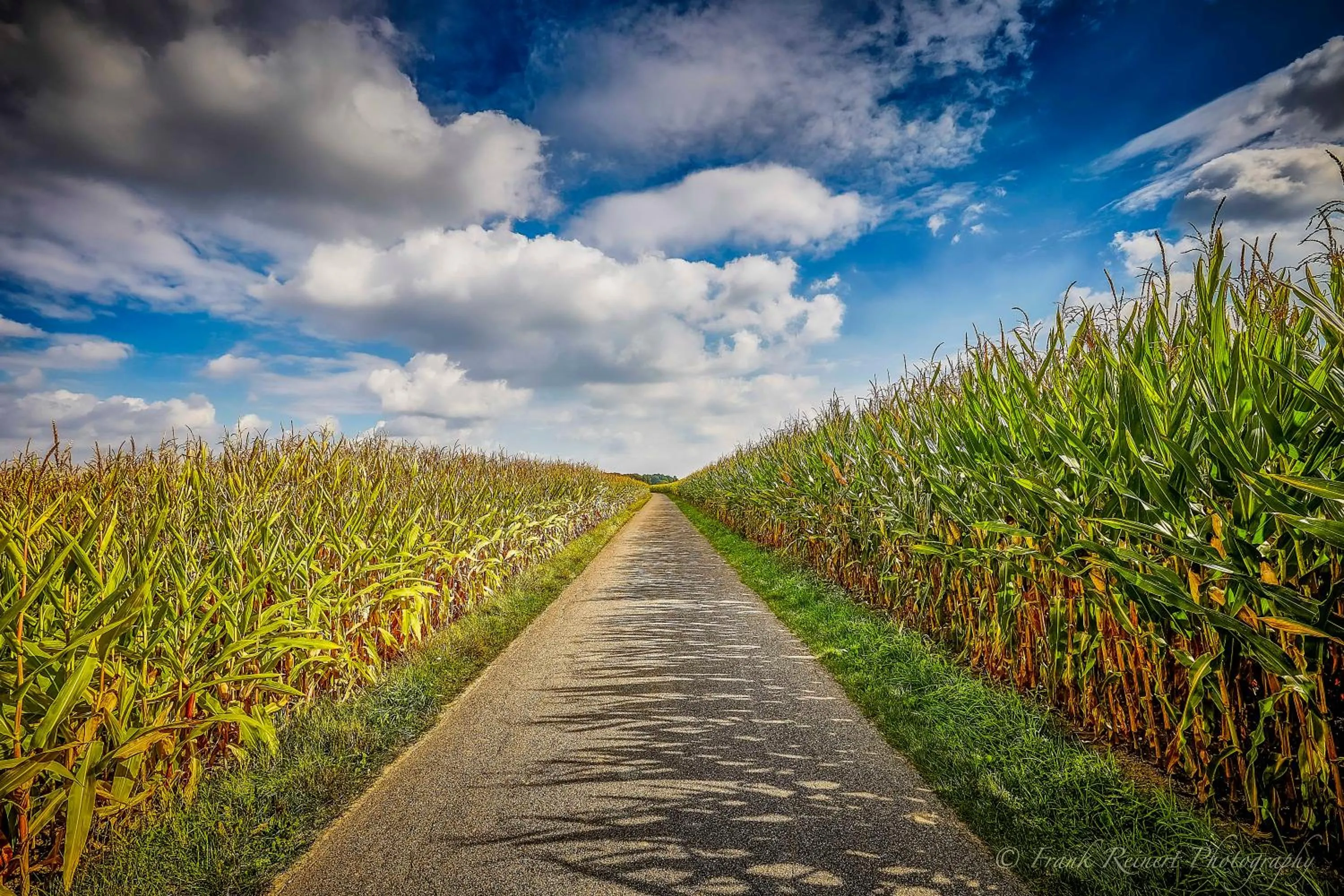 Natural landscape in Wellings Romantik Hotel zur Linde