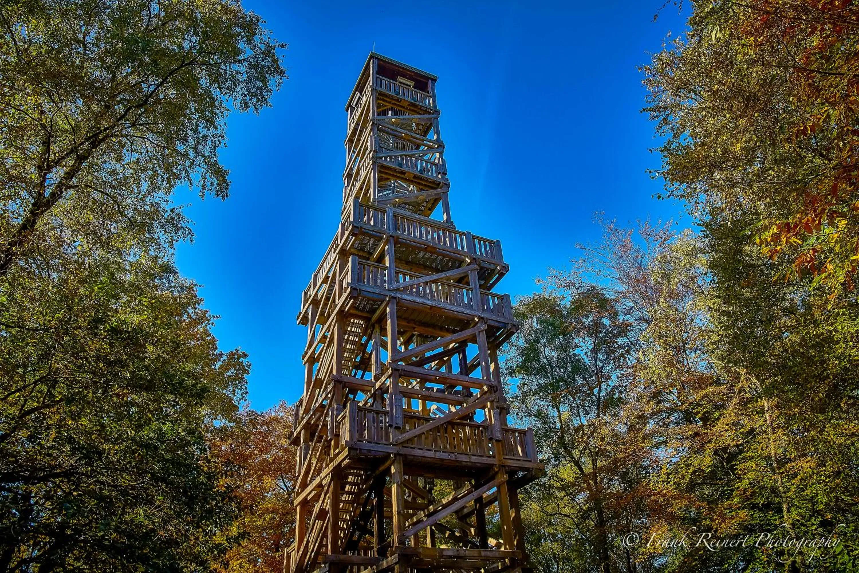 Natural landscape in Wellings Romantik Hotel zur Linde