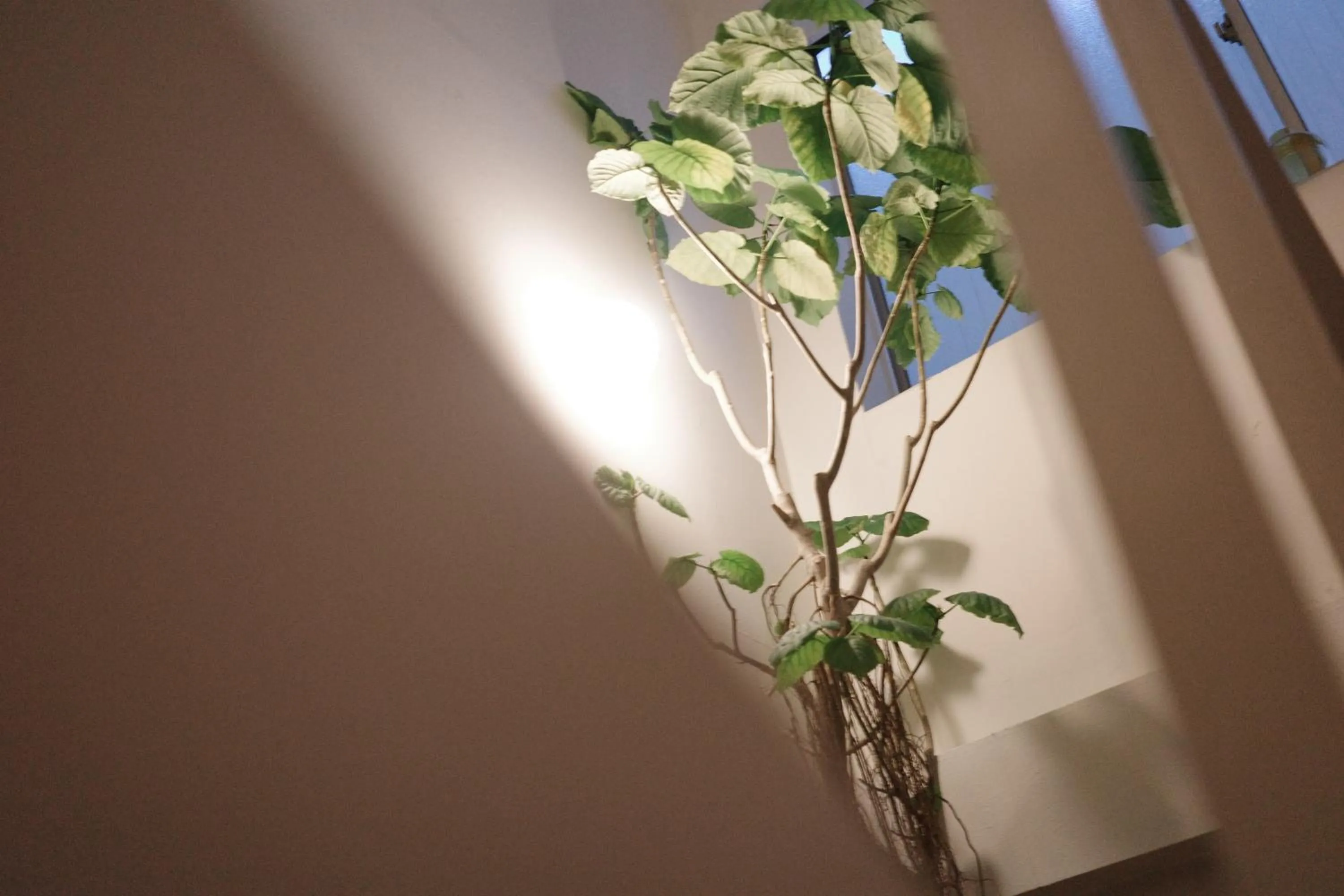 8b HOTEL -Osaka Nishikujo APARTMENT-