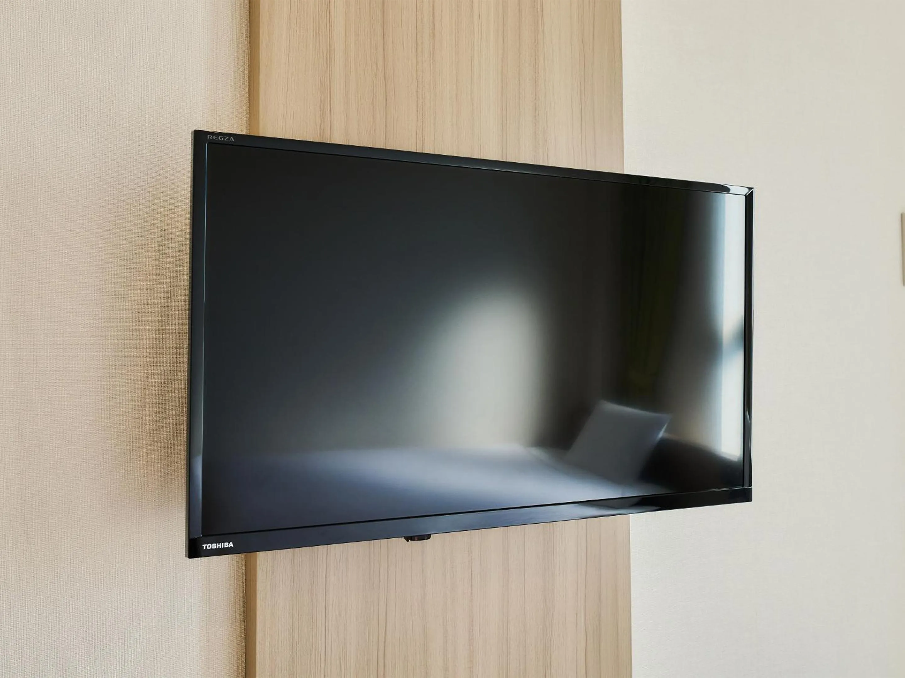 TV and multimedia in Hotel Meldia Shijo Kawaramachi Annex