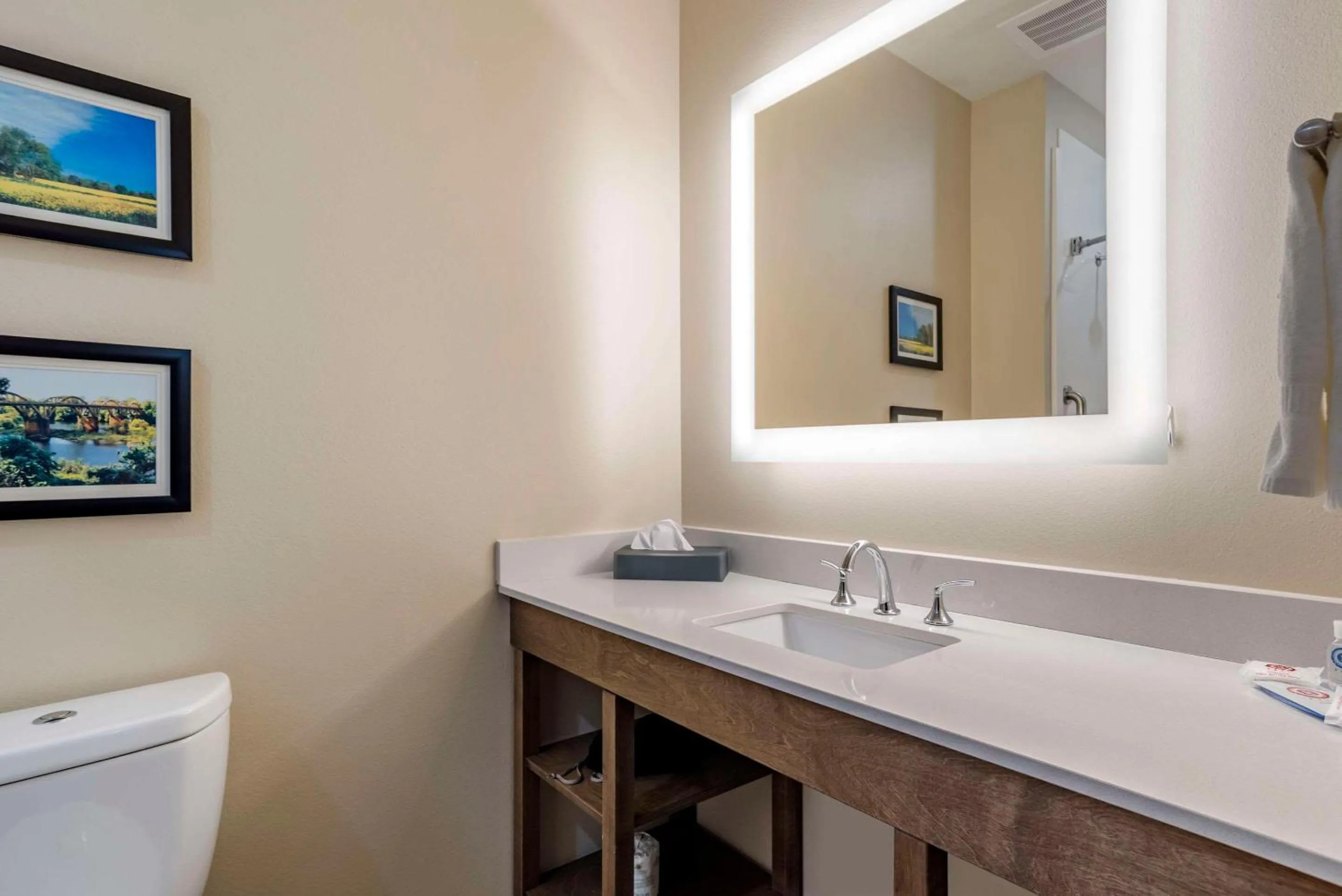 Bedroom in Comfort Inn & Suites Downtown near University