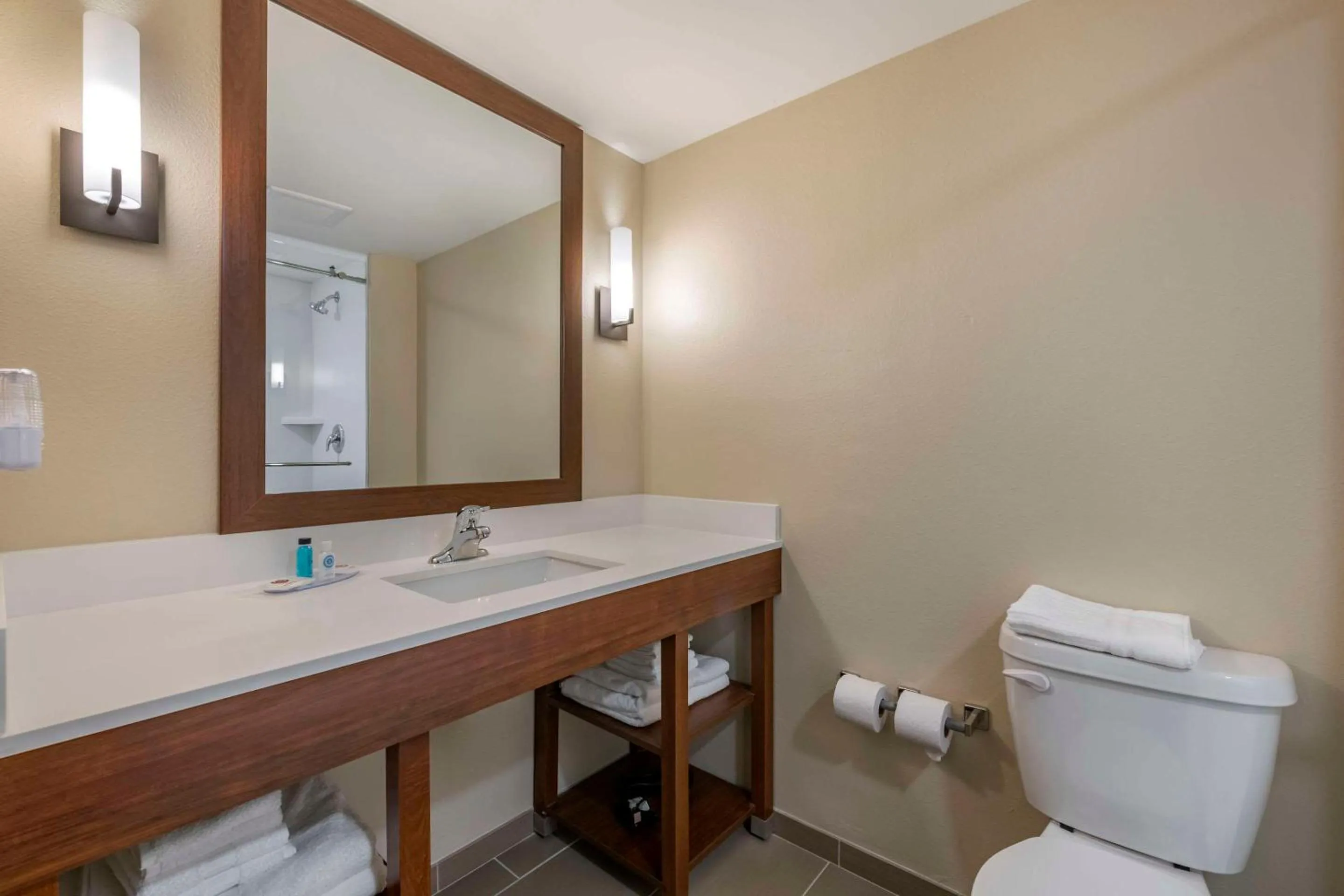 Bathroom in Comfort Suites Daytona Beach-Speedway