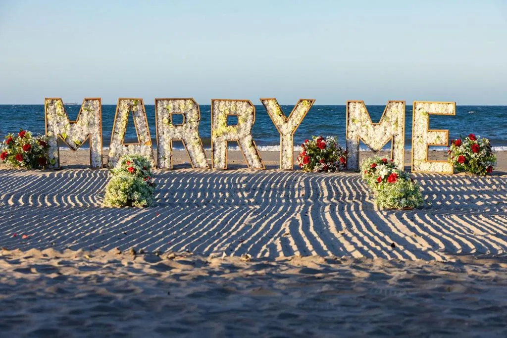 Natural landscape in Hotel Palmazul - Viña del Mar