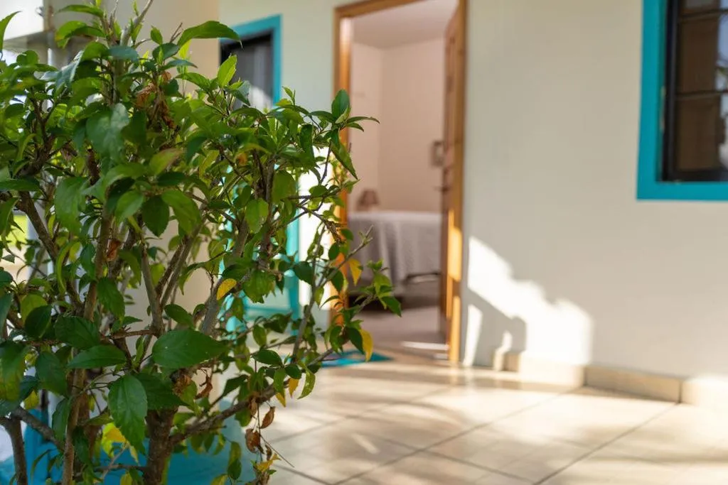 Patio in Hotel Palmazul - Viña del Mar
