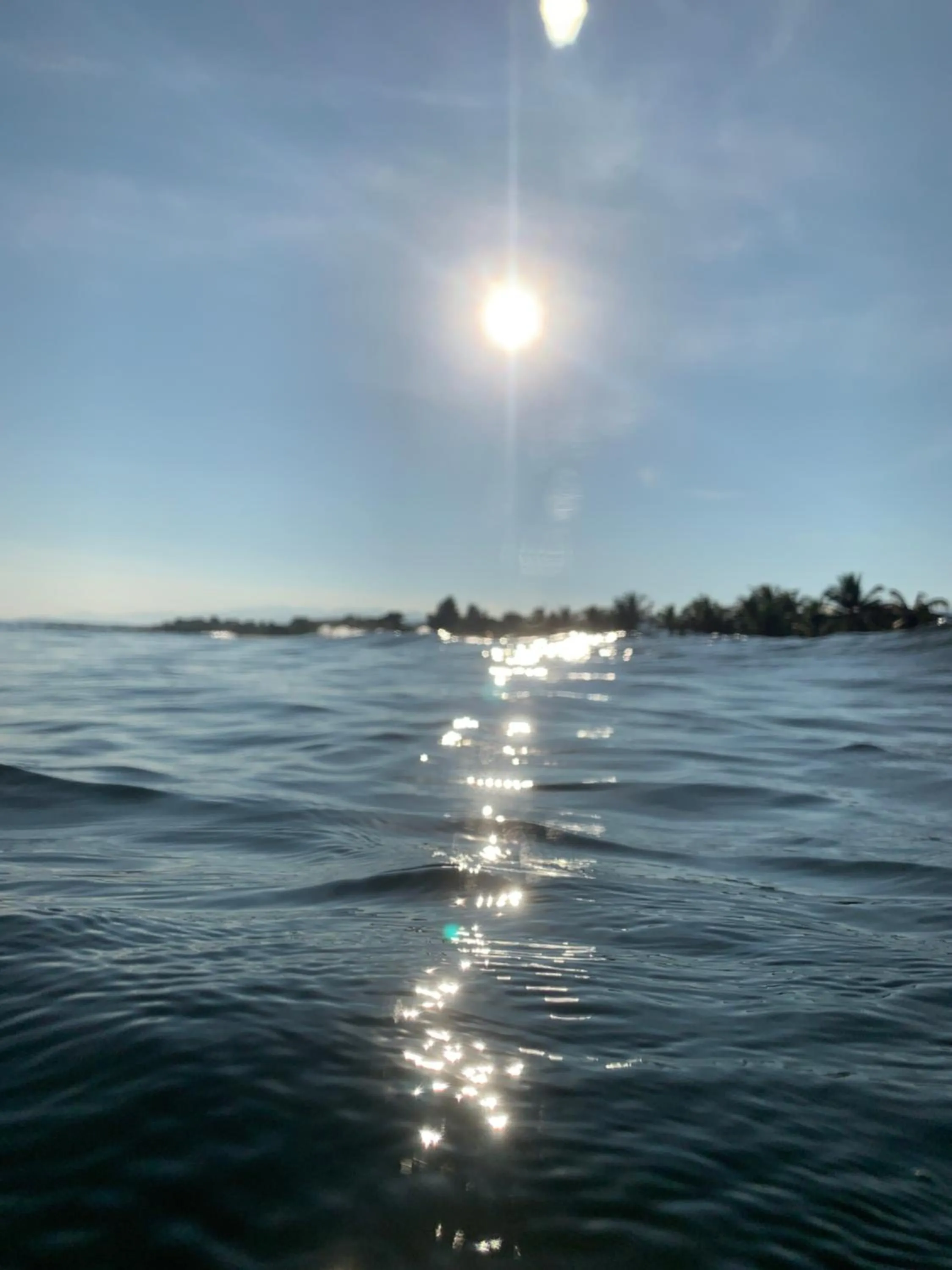 Location in Hotel Palmazul - Viña del Mar