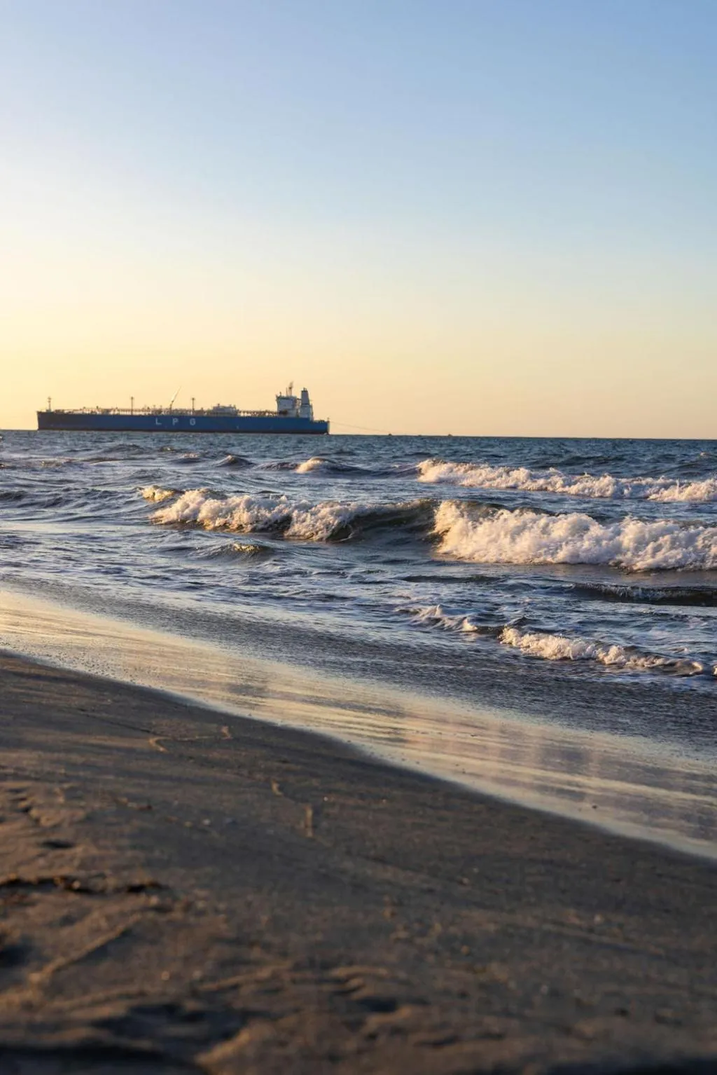 Natural landscape in Hotel Palmazul - Viña del Mar