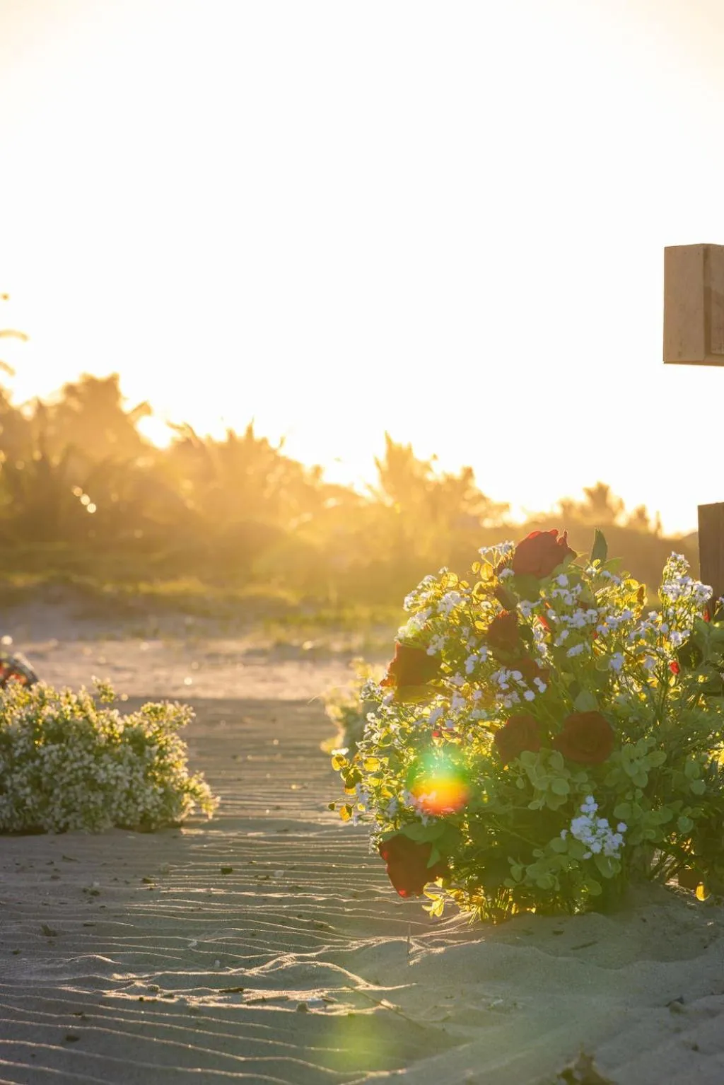 Natural landscape in Hotel Palmazul - Viña del Mar