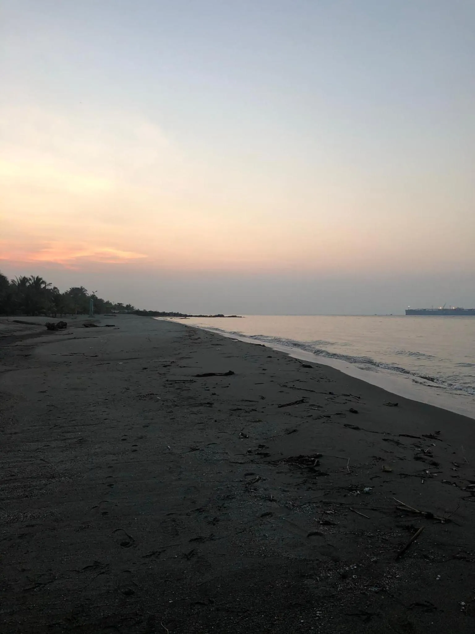 Natural landscape in Hotel Palmazul - Viña del Mar