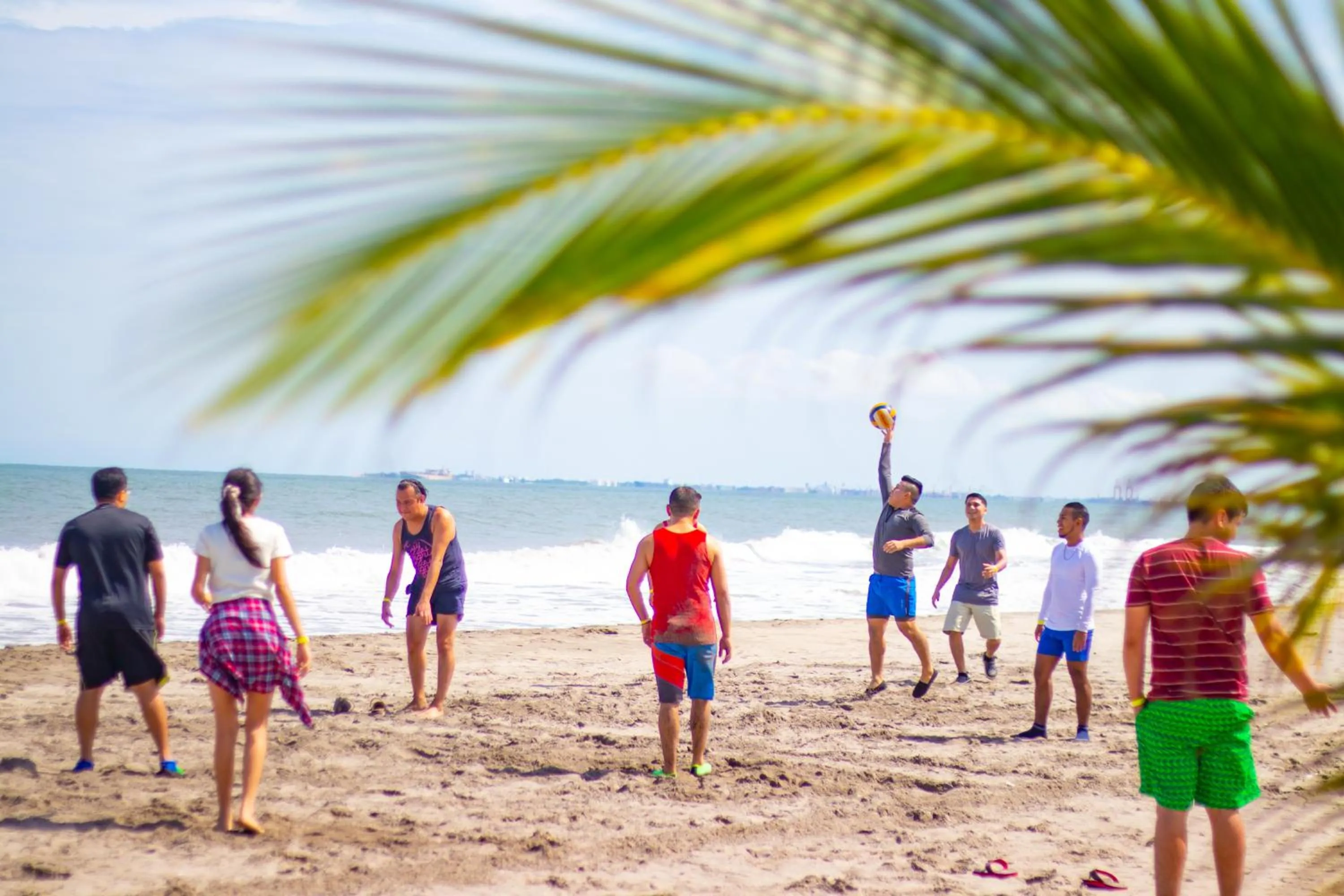 Beach in Hotel Palmazul - Viña del Mar