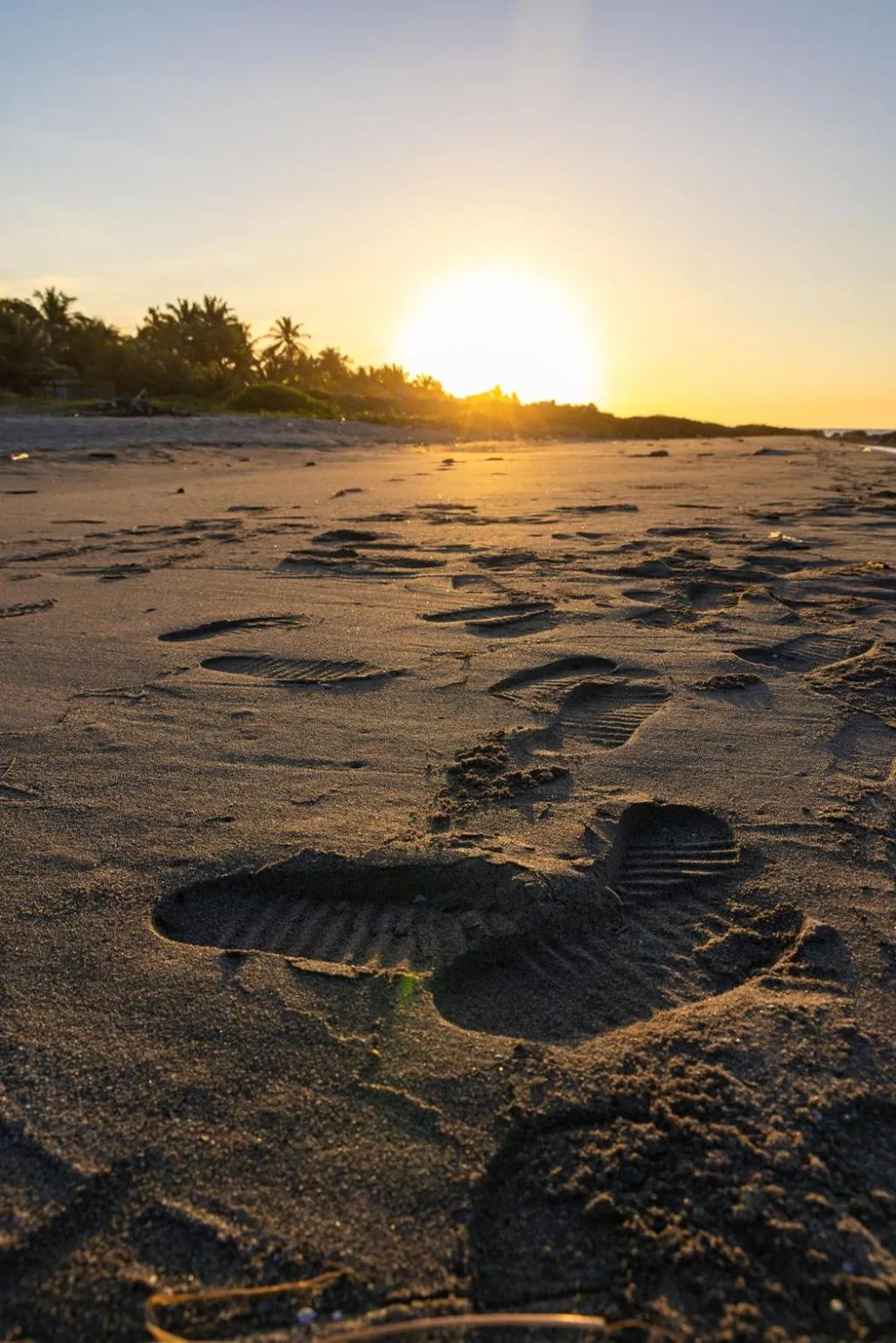 Beach in Hotel Palmazul - Viña del Mar