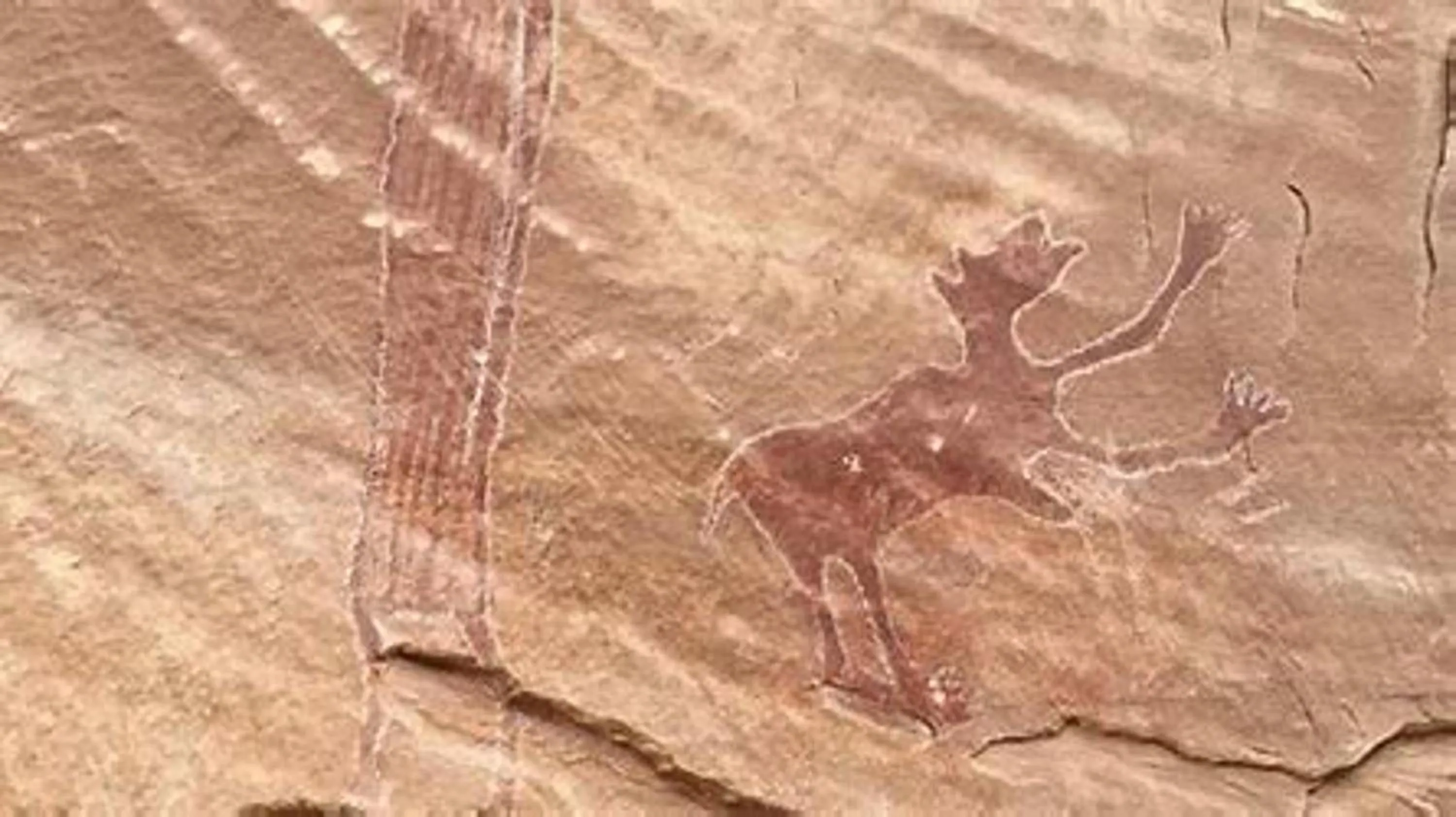 Area and facilities in Holiday Inn Express and Suites Green River