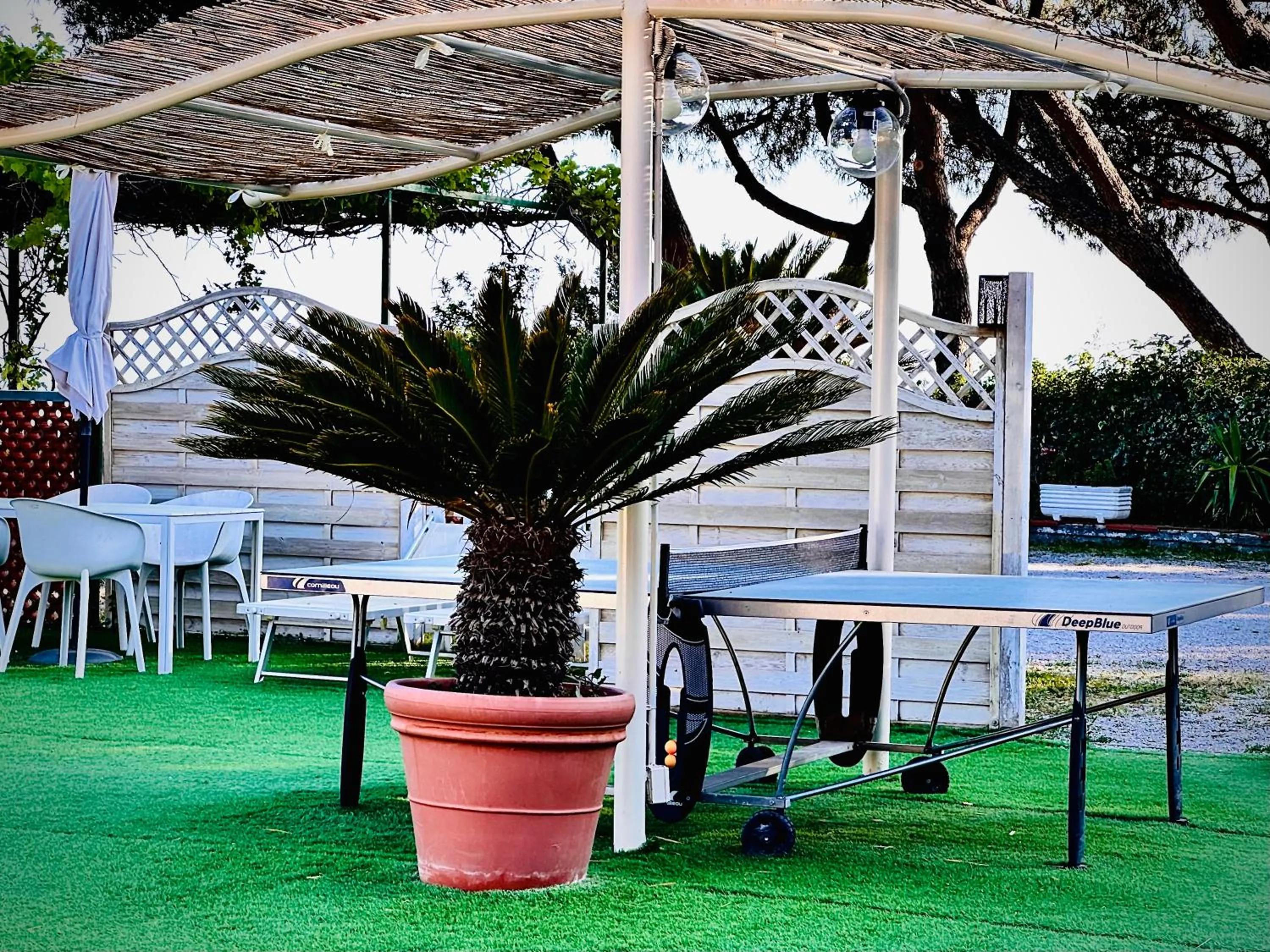 Swimming pool in B&B Iolì Vesuvio