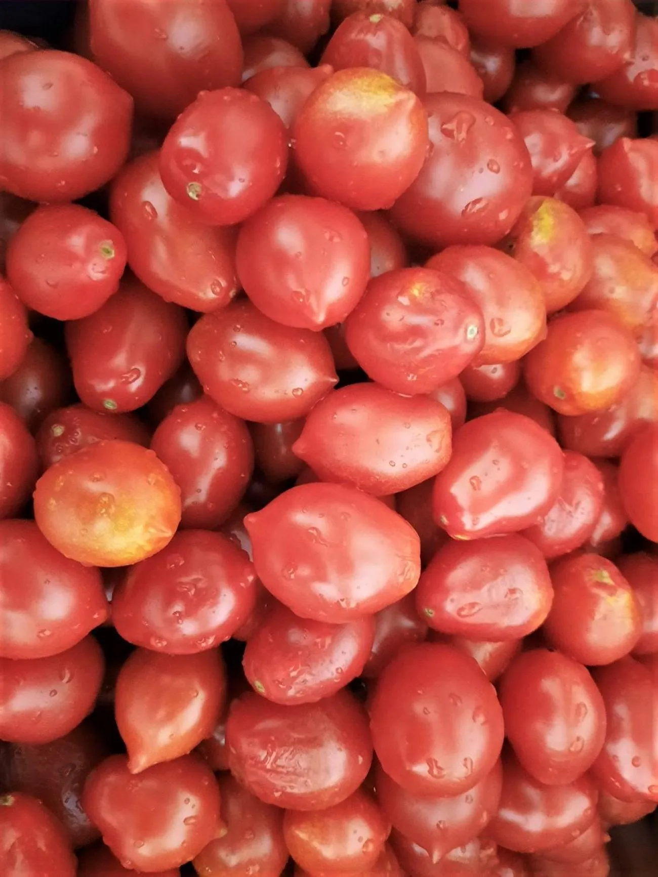 Property building in B&B Iolì Vesuvio