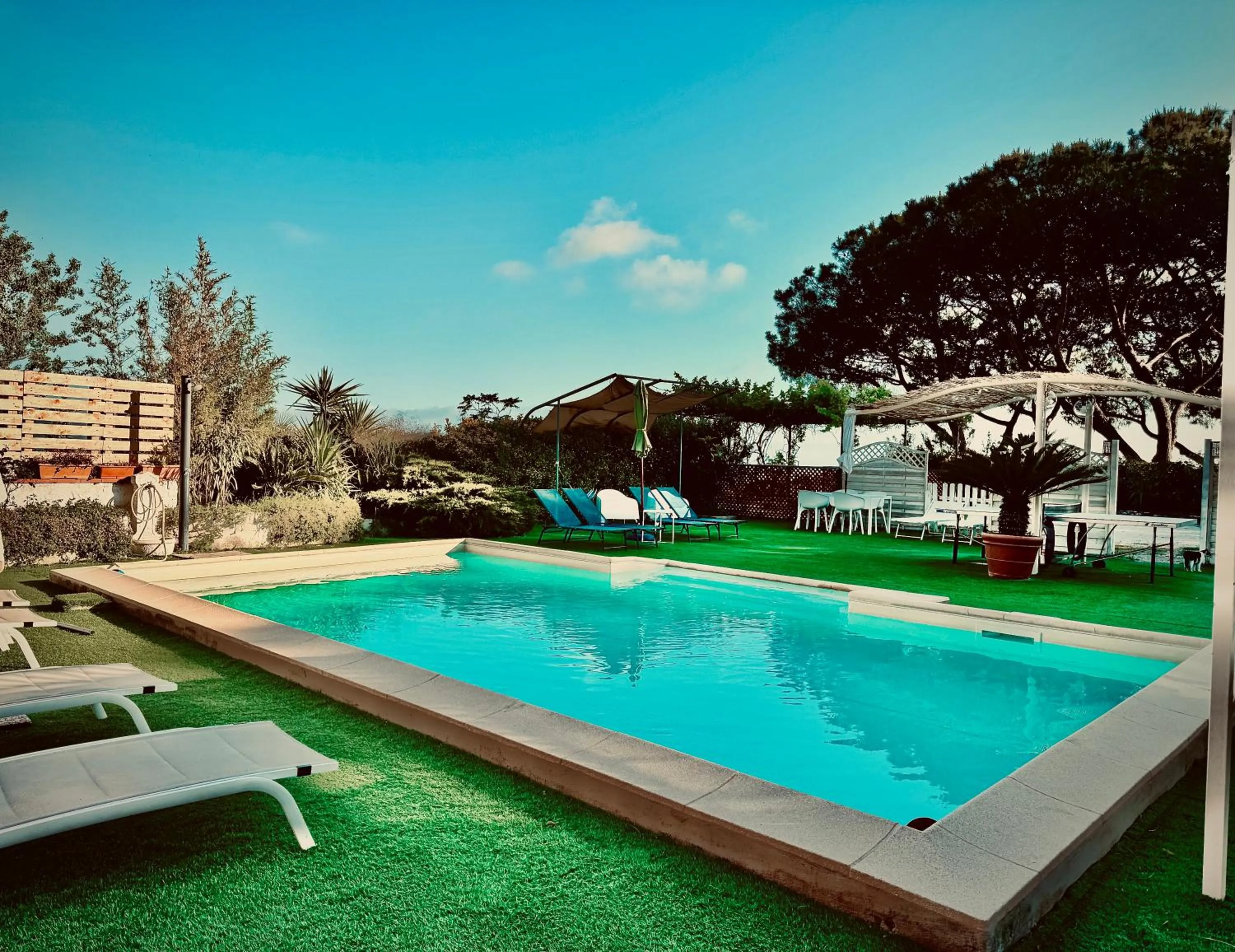 Swimming pool in B&B Iolì Vesuvio