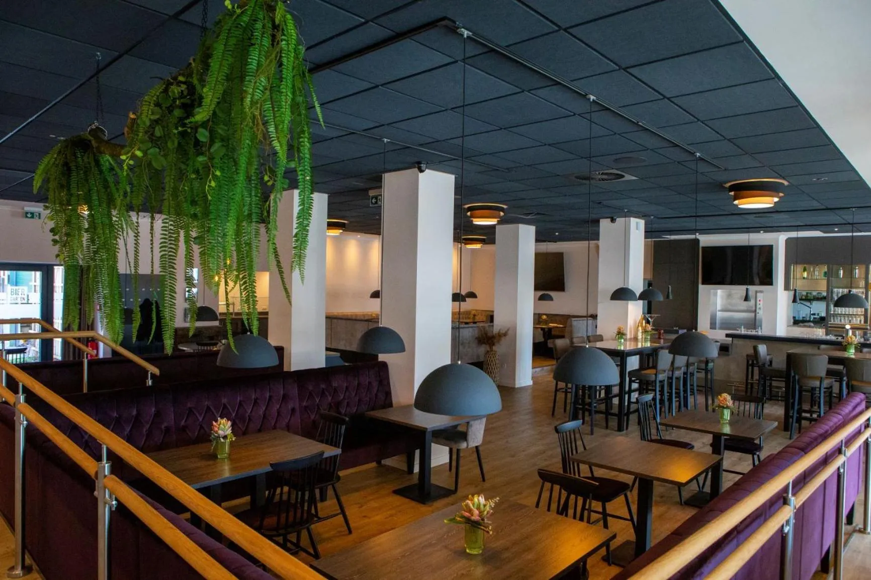 Restaurant/places to eat in Hotel Velo