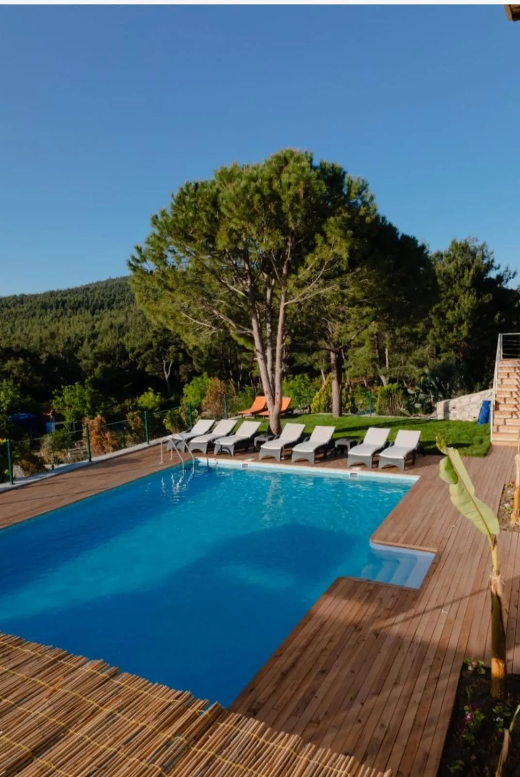 Swimming pool in My House Urla