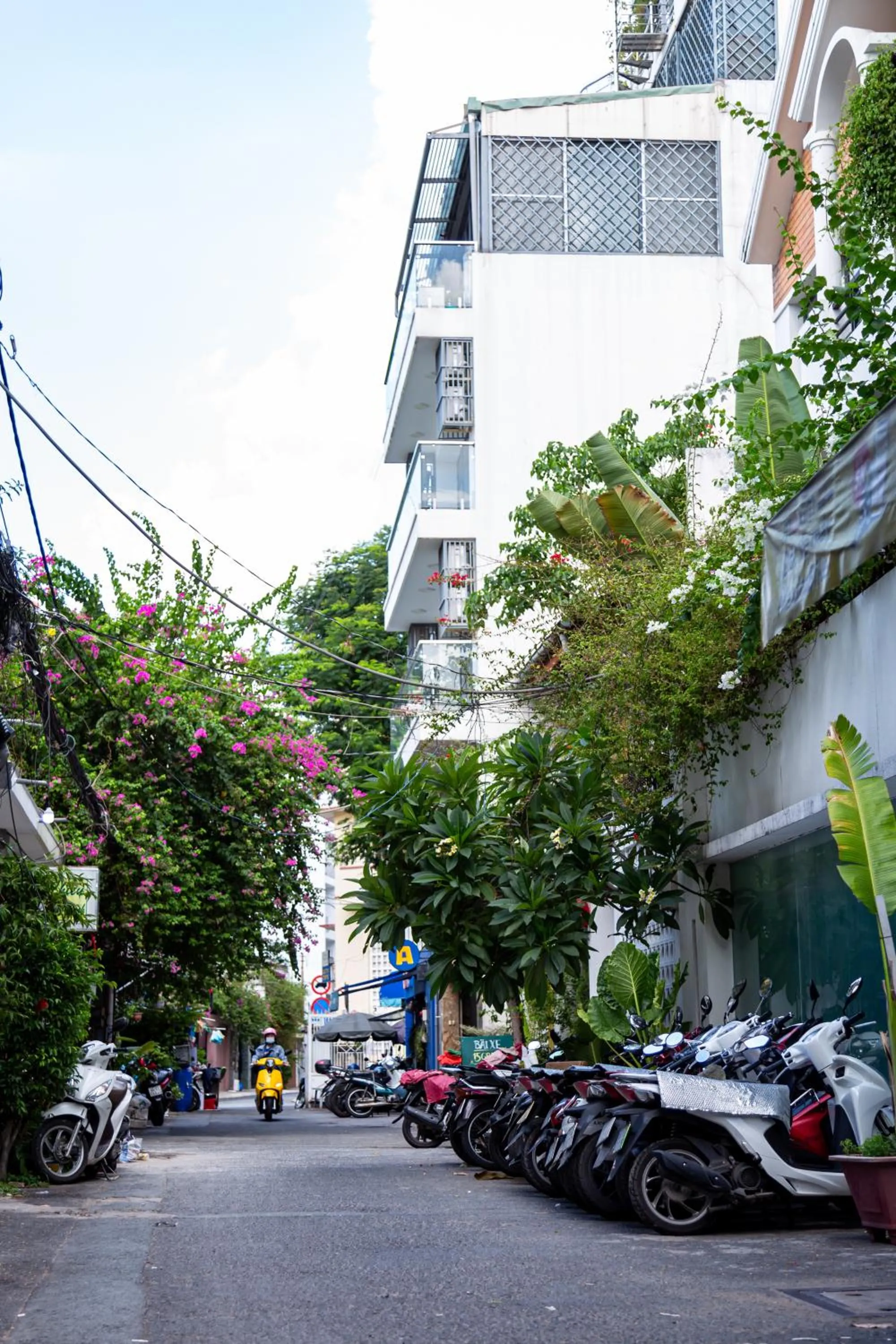 Neighbourhood in Cozy Riverview of Livinginn