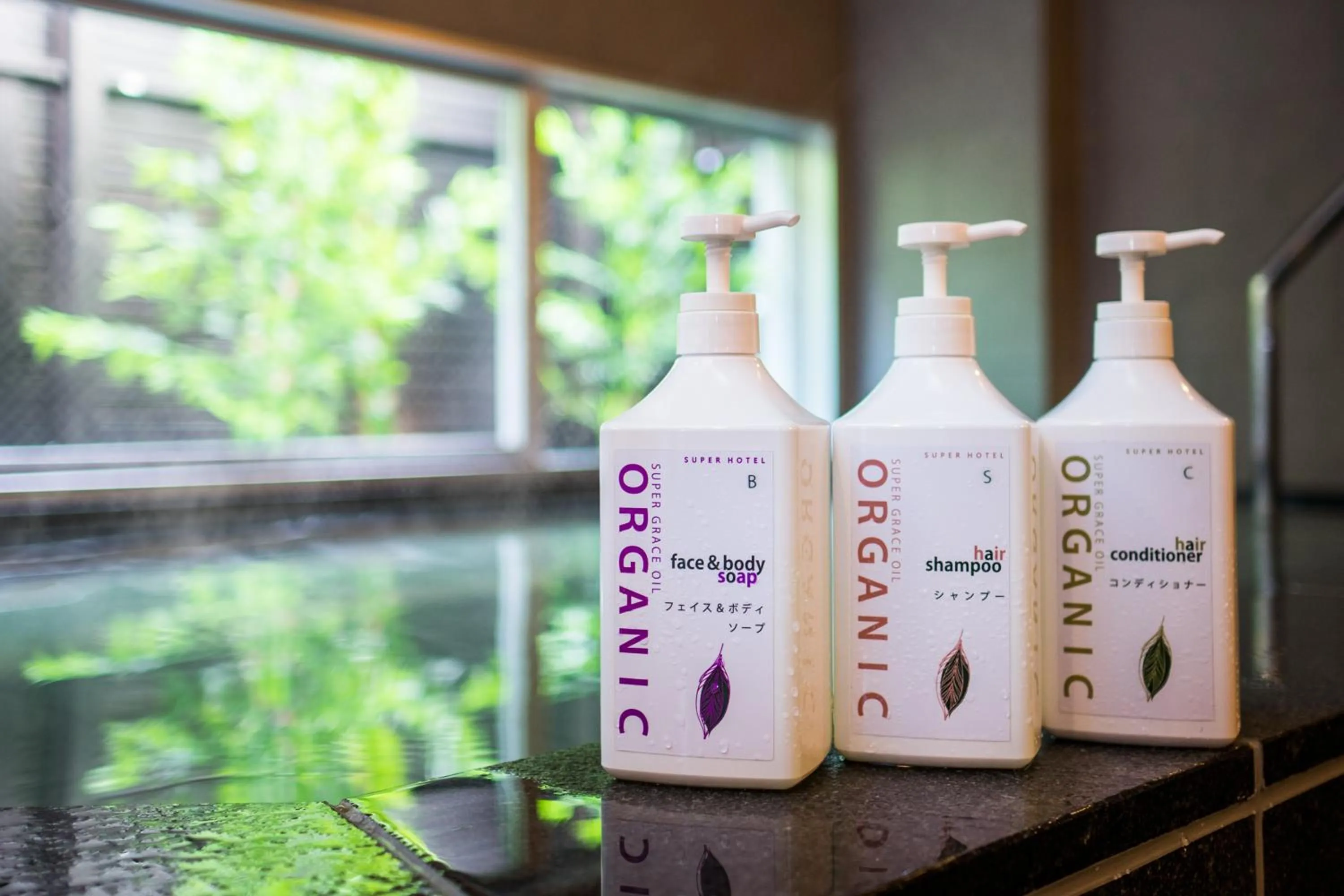 Hot Spring Bath in Super Hotel Fujinomiya