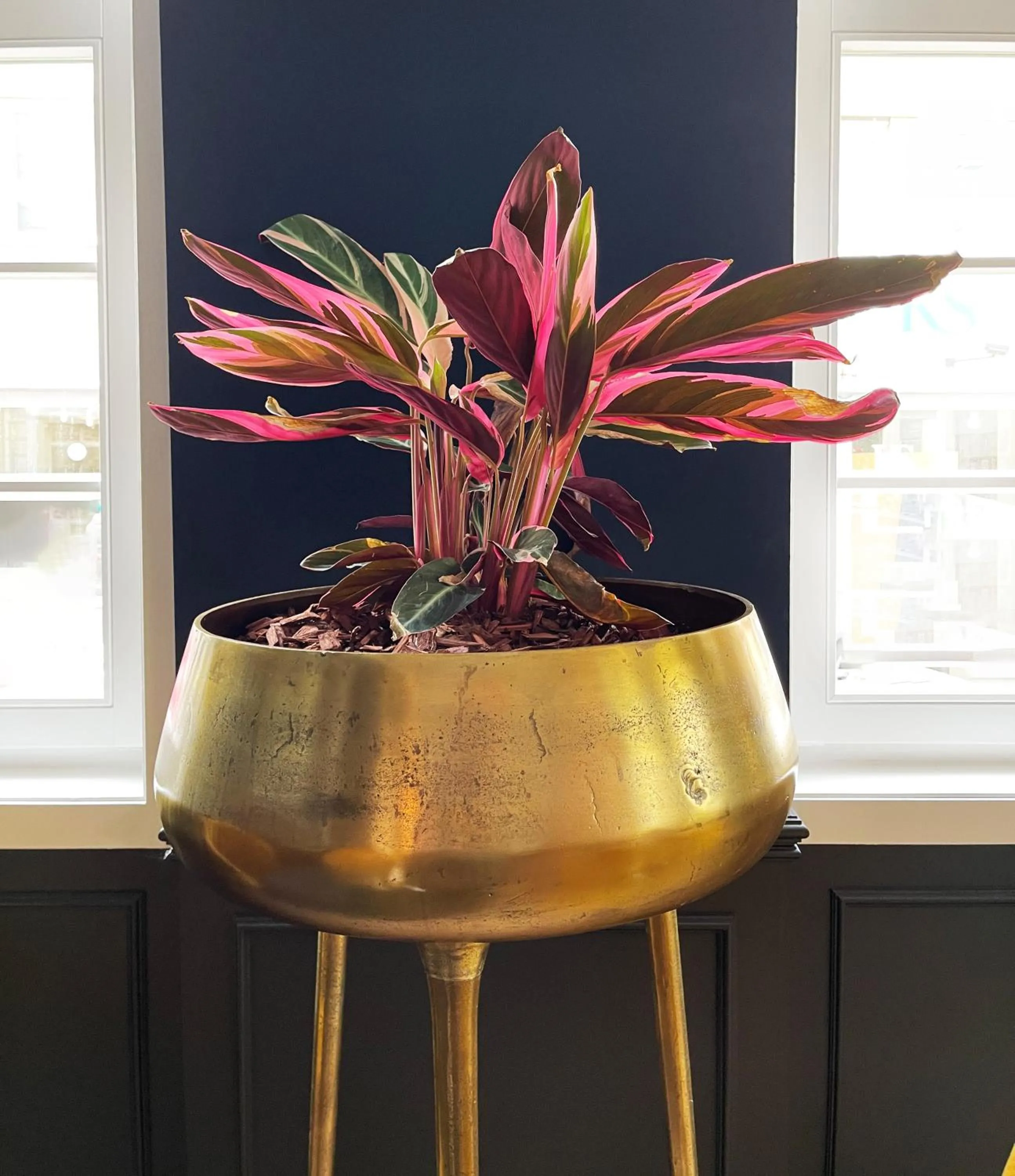 Boutique-Hotel Stadtvilla Hodes