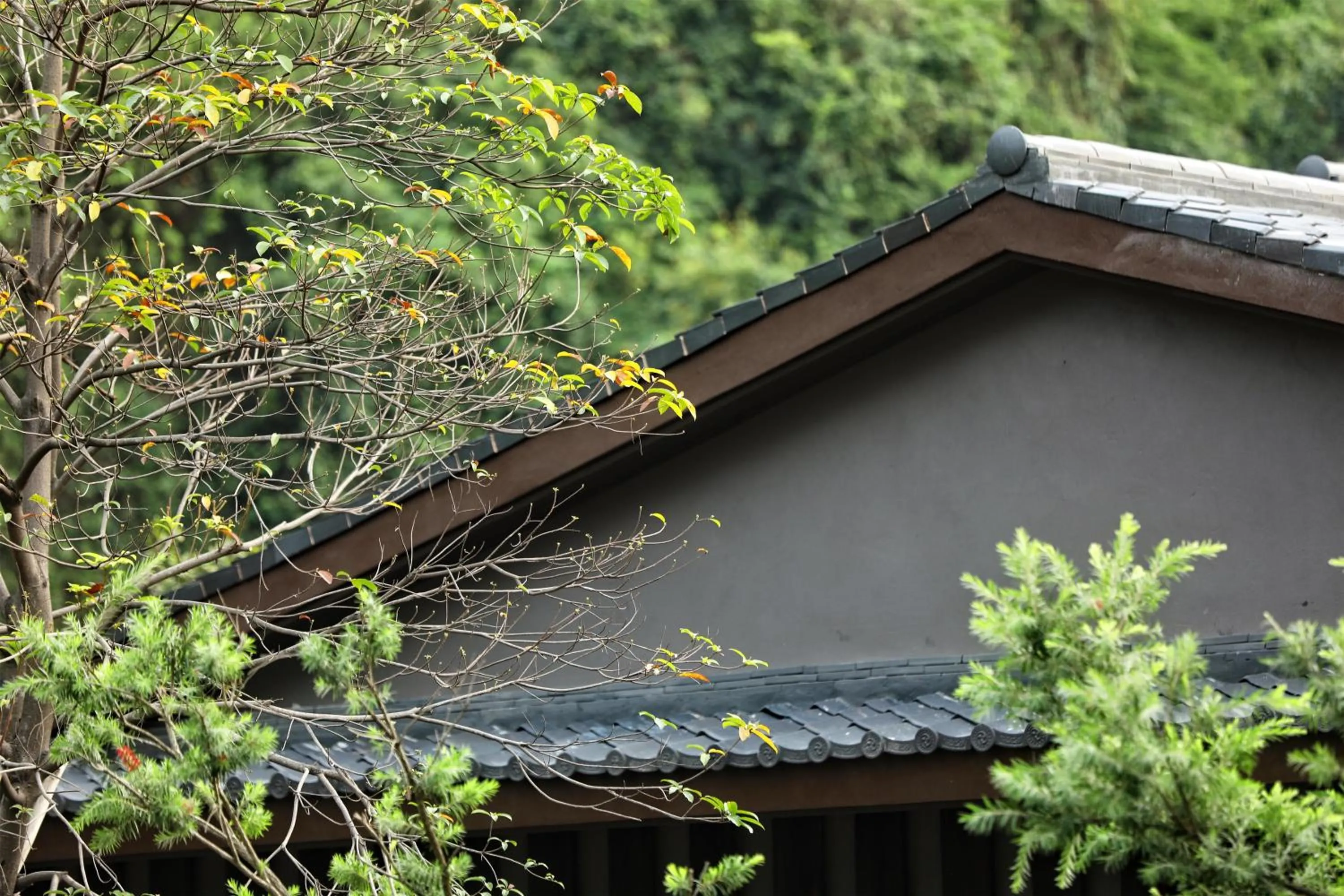 Other in Hilton Quang Hanh Onsen Resort