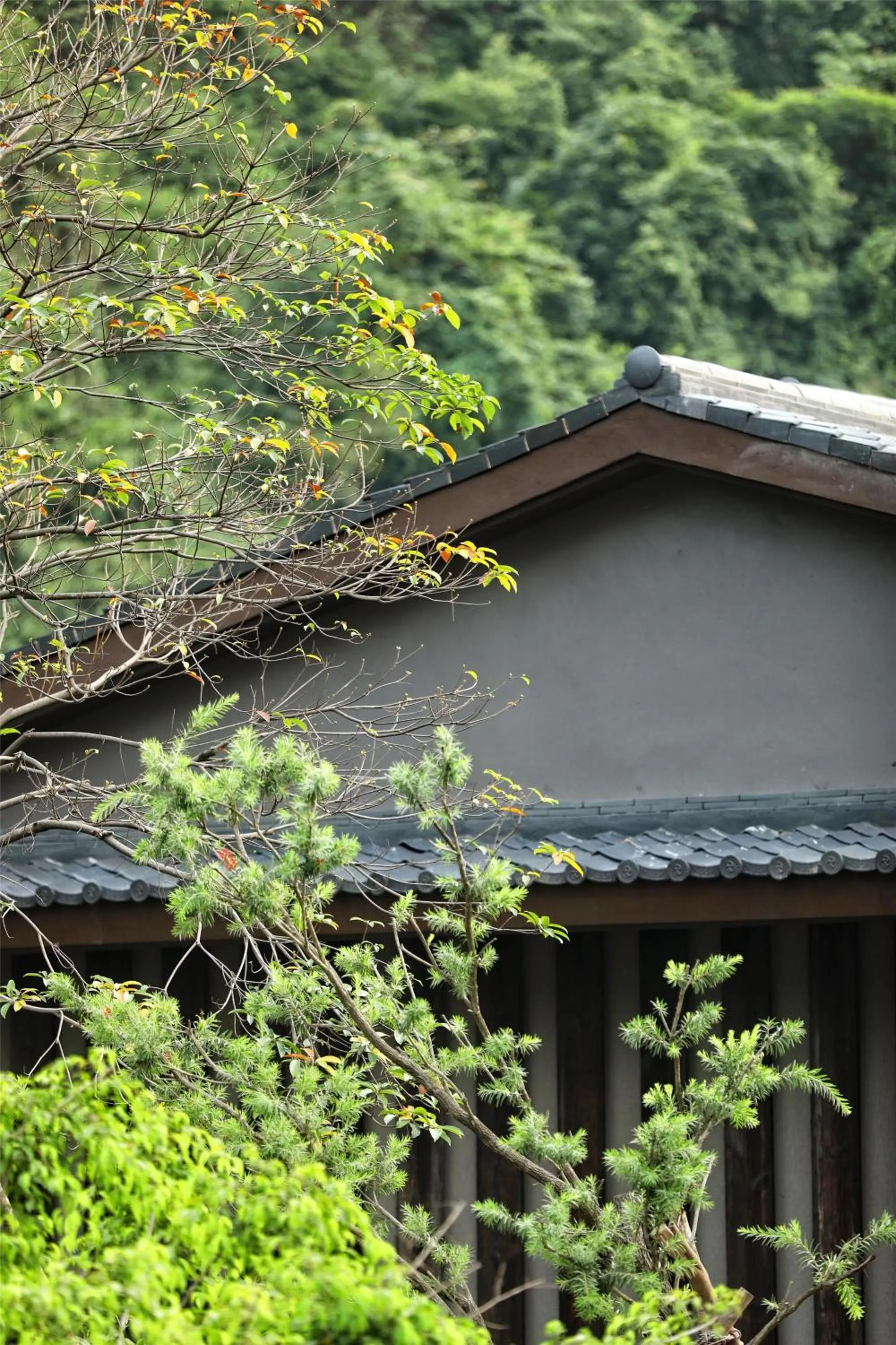 Other in Hilton Quang Hanh Onsen Resort