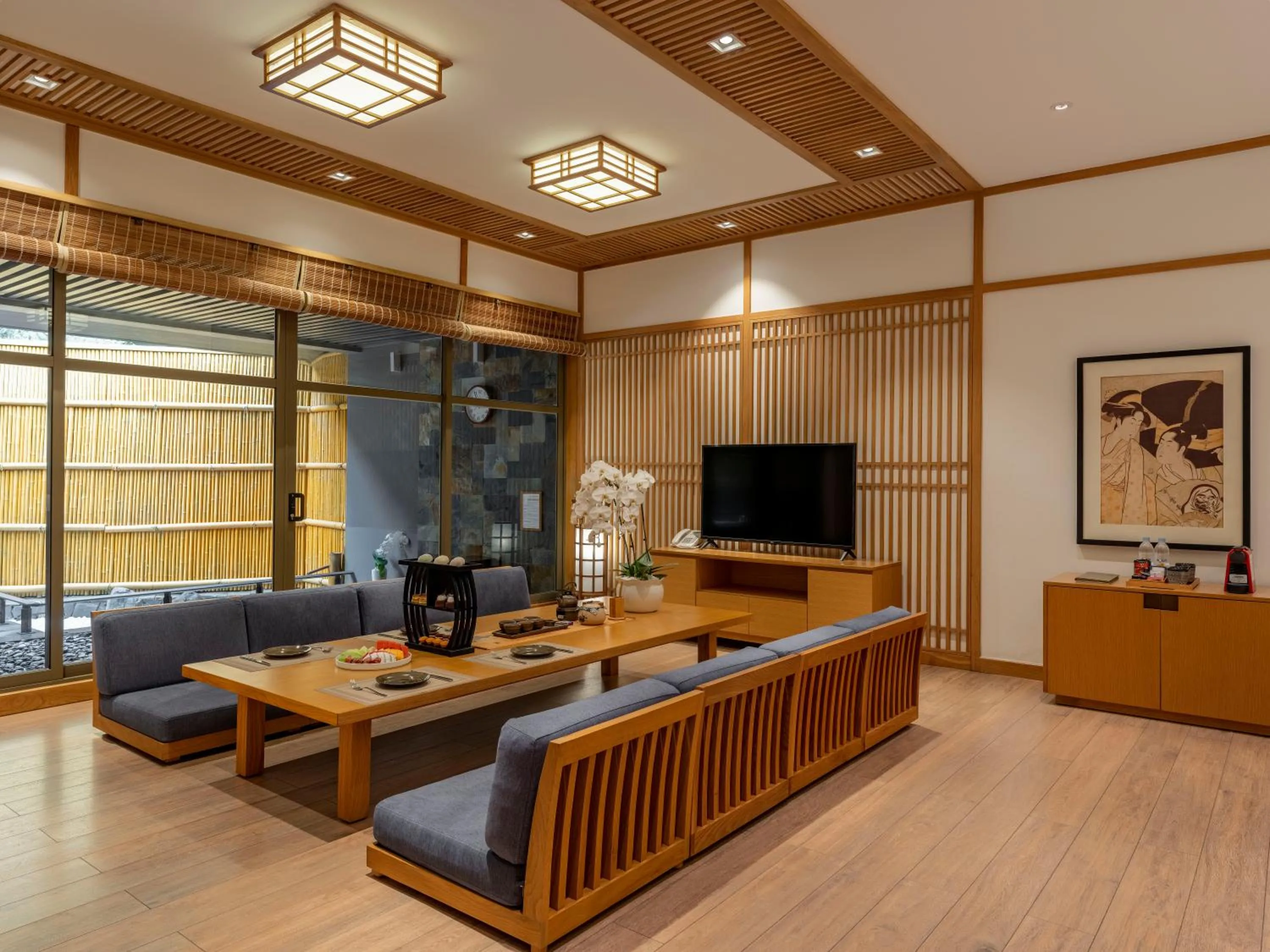 TV and multimedia in Yoko Onsen Quang Hanh