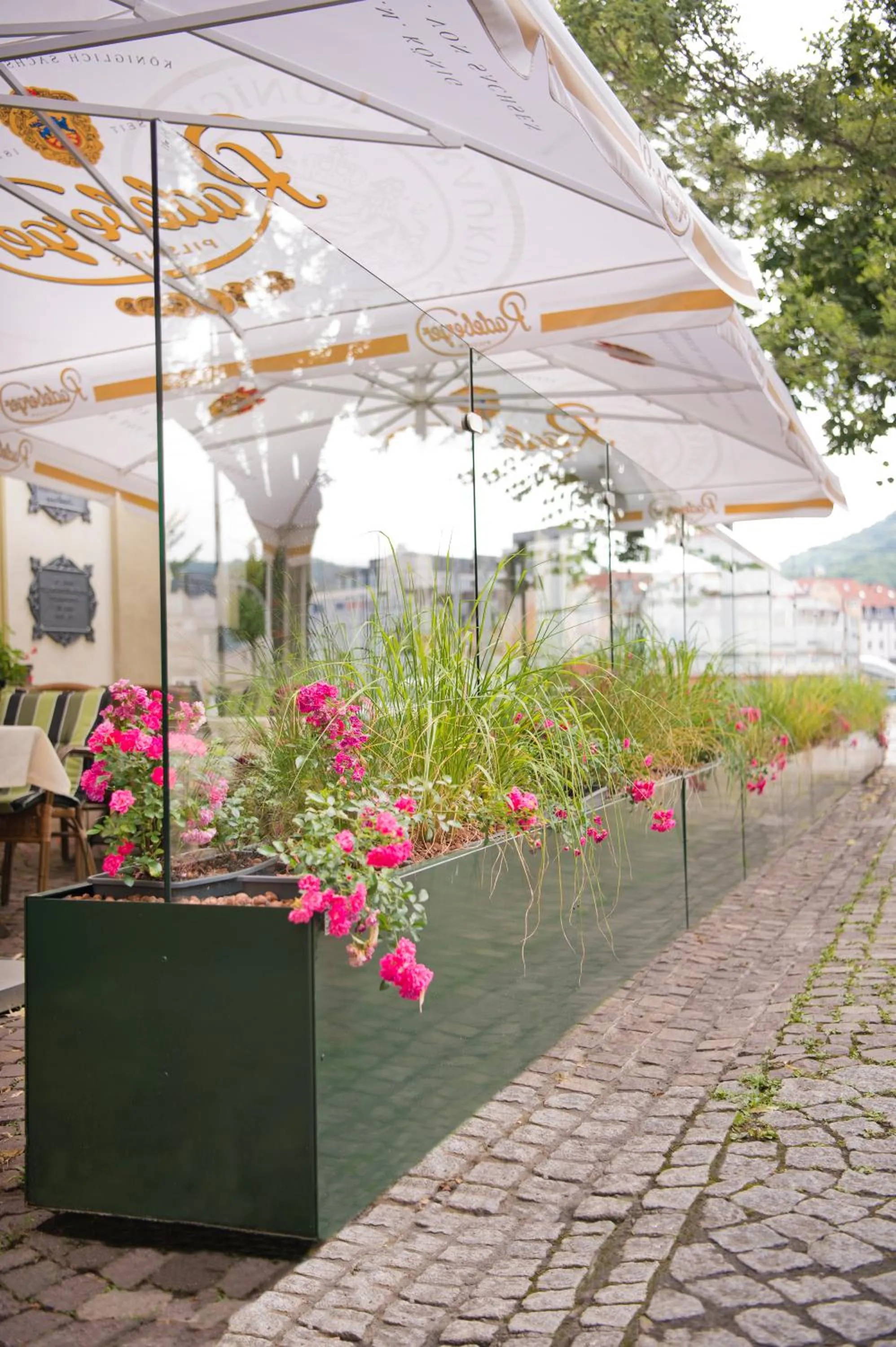 Restaurant/places to eat in Schwarzer Bär Jena