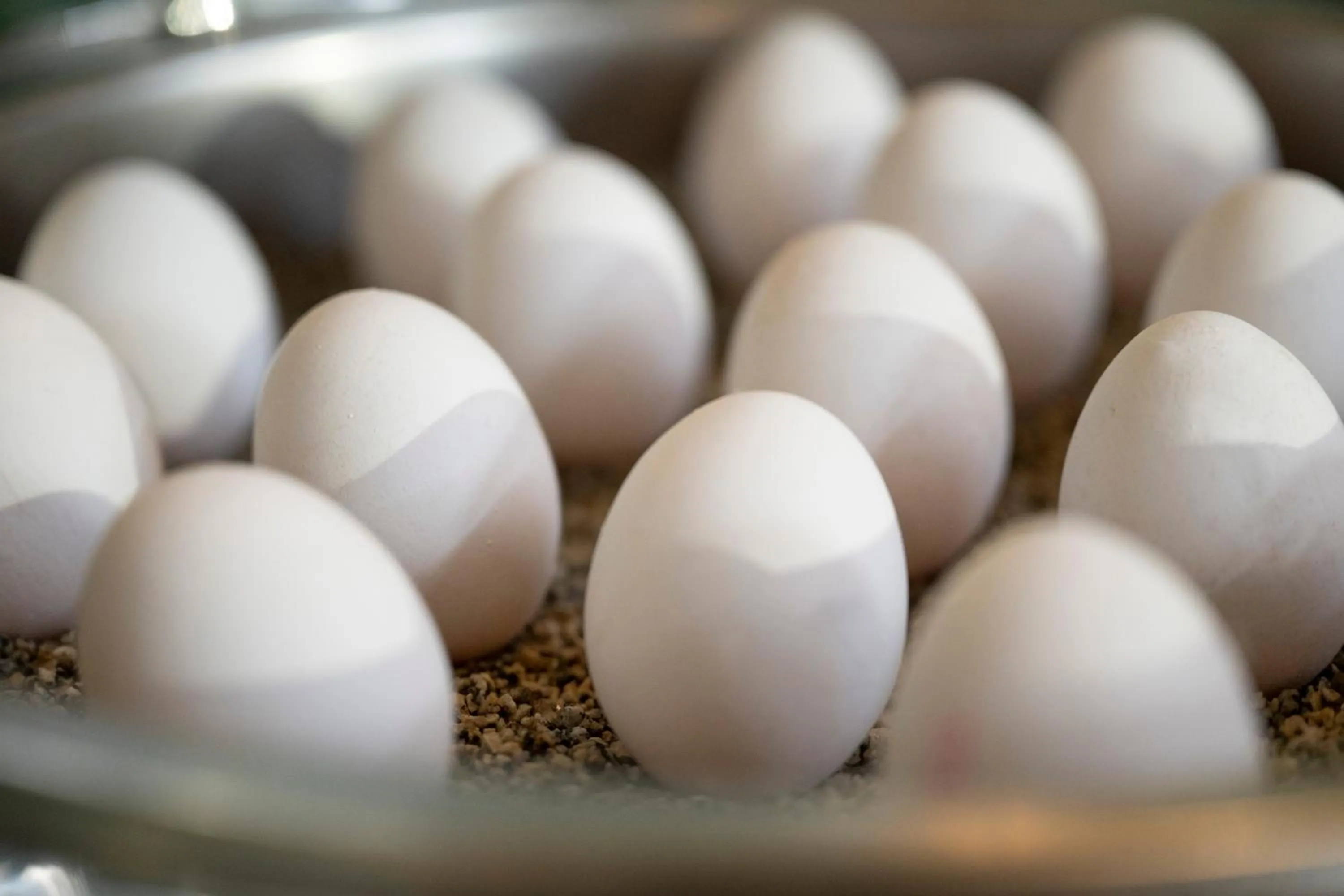 Restaurant/places to eat in Schwarzer Bär Jena