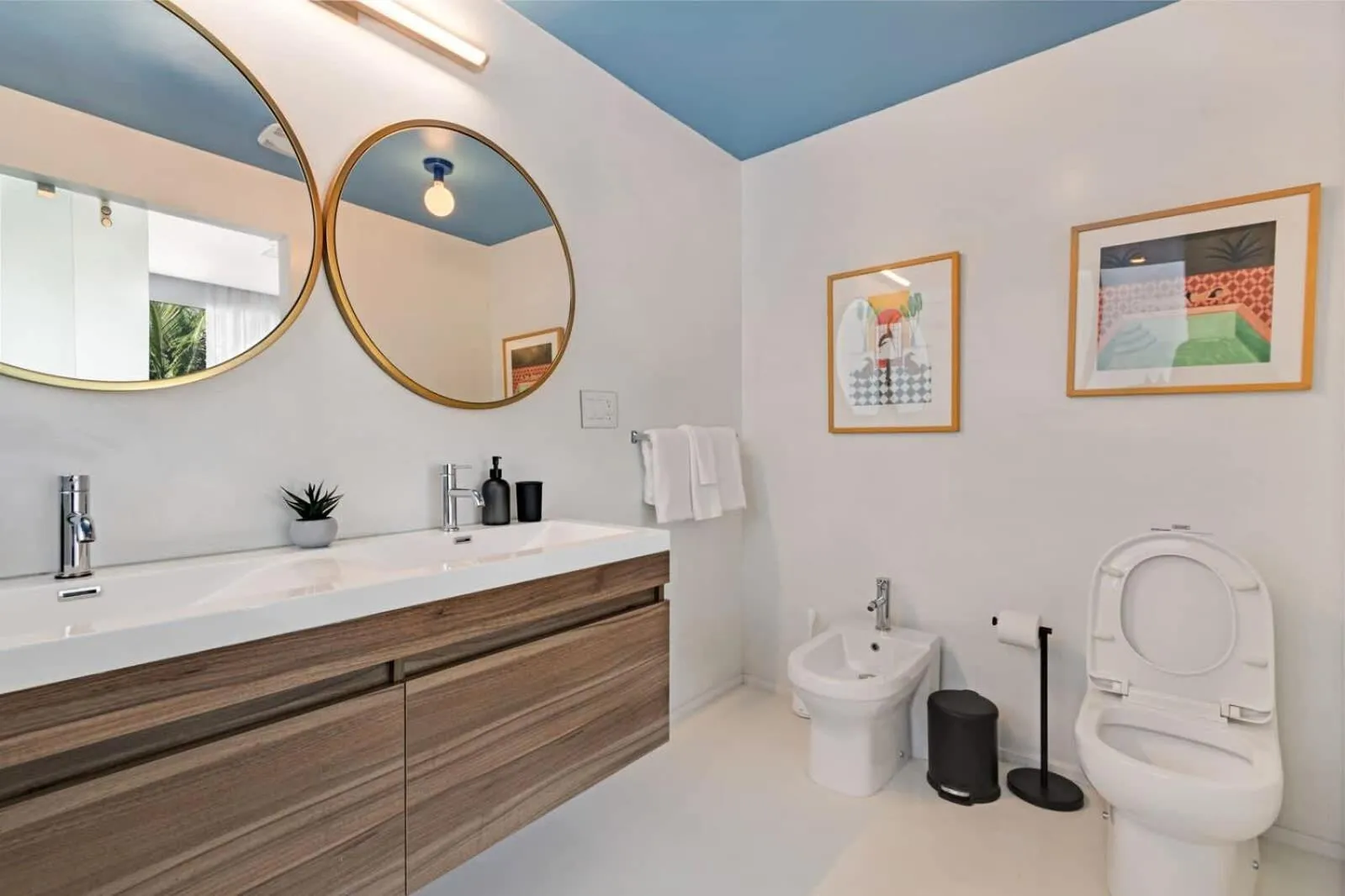 Roami at 250 Collins