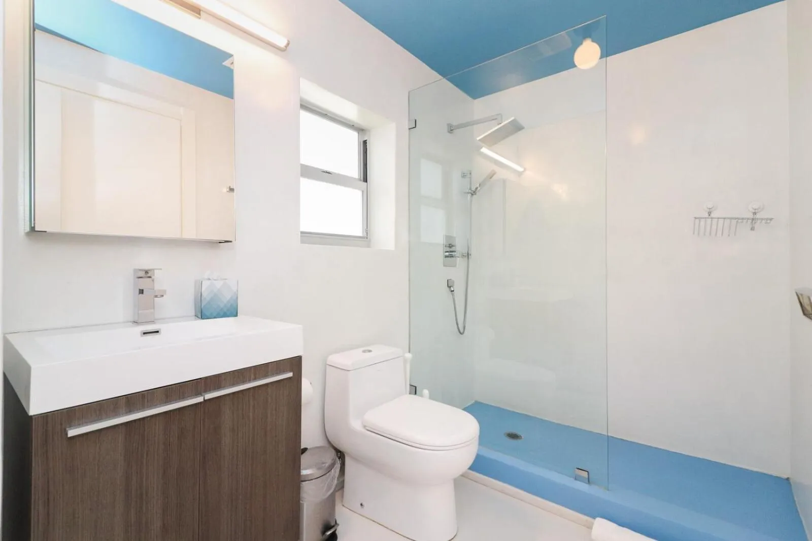 Roami at 250 Collins