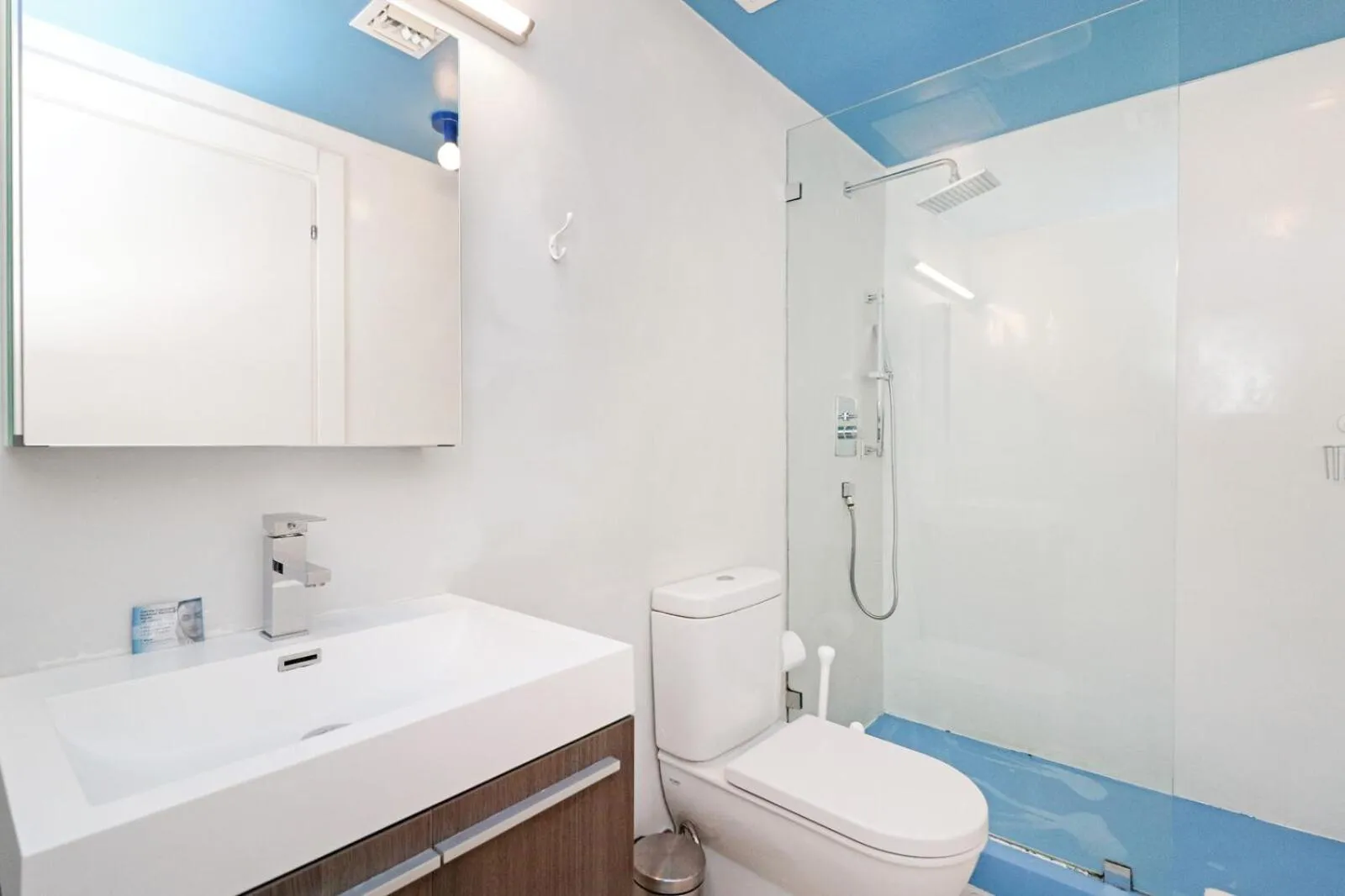 Roami at 250 Collins