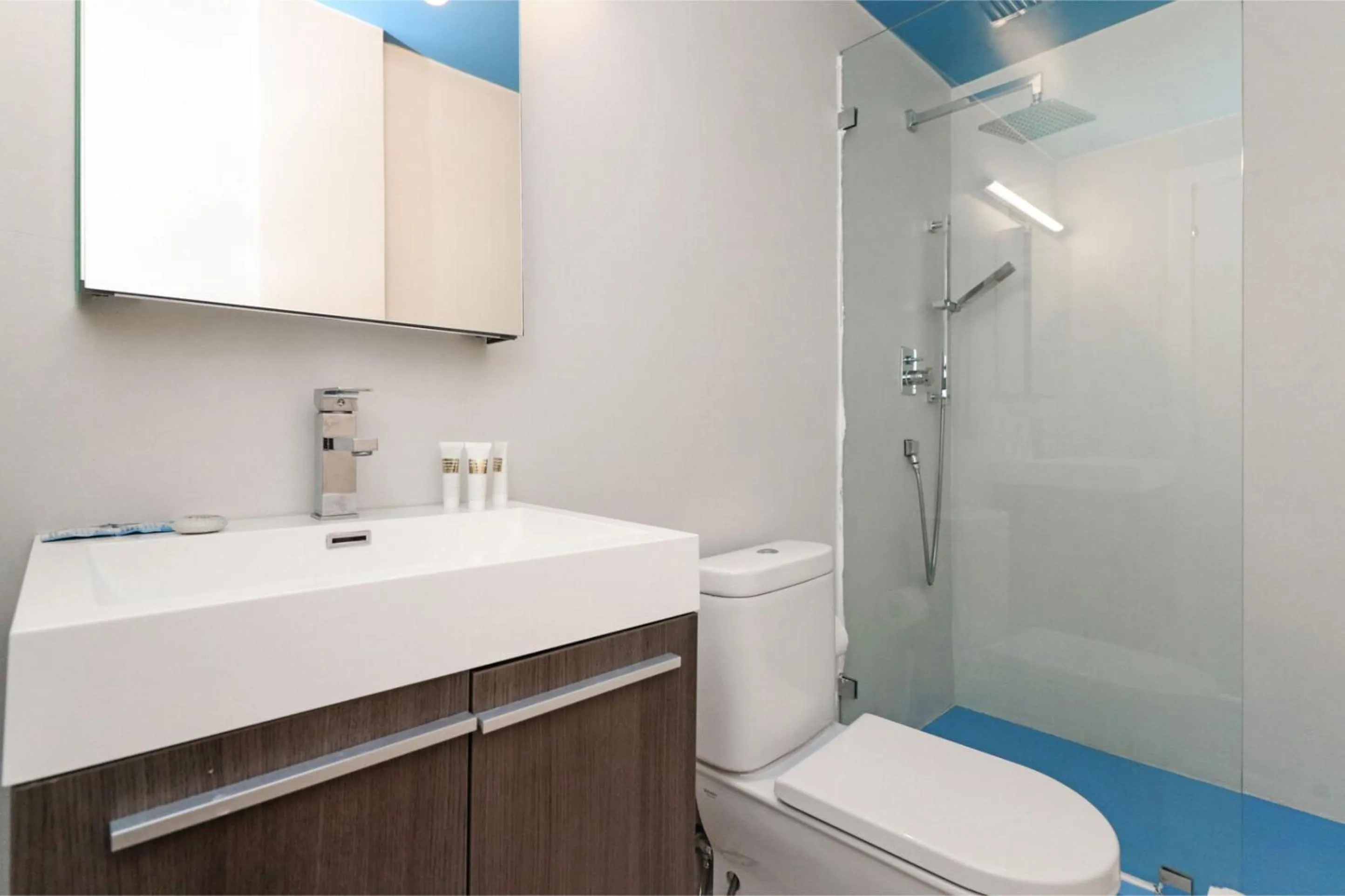 Roami at 250 Collins