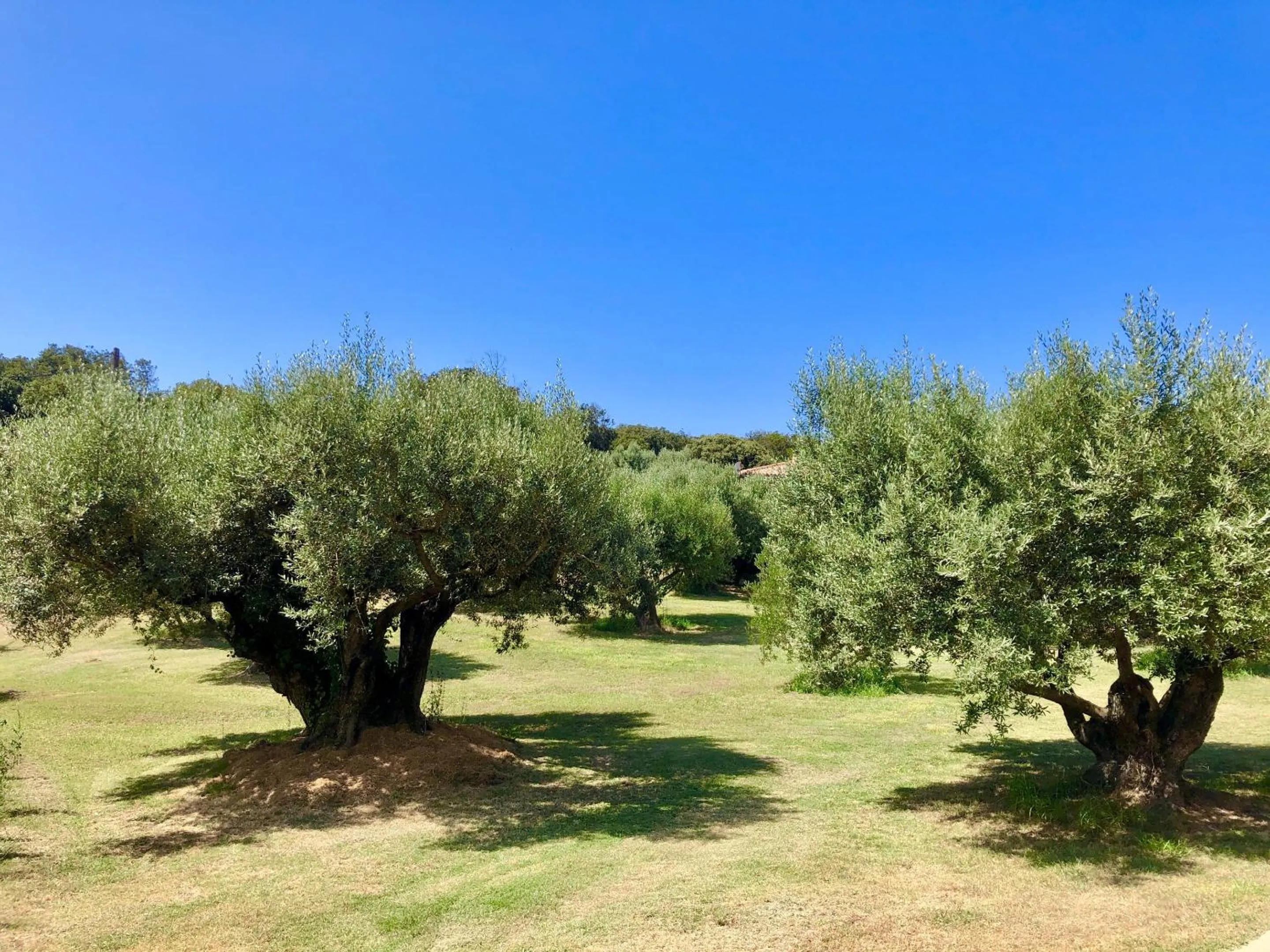 Property building in Nature & Design