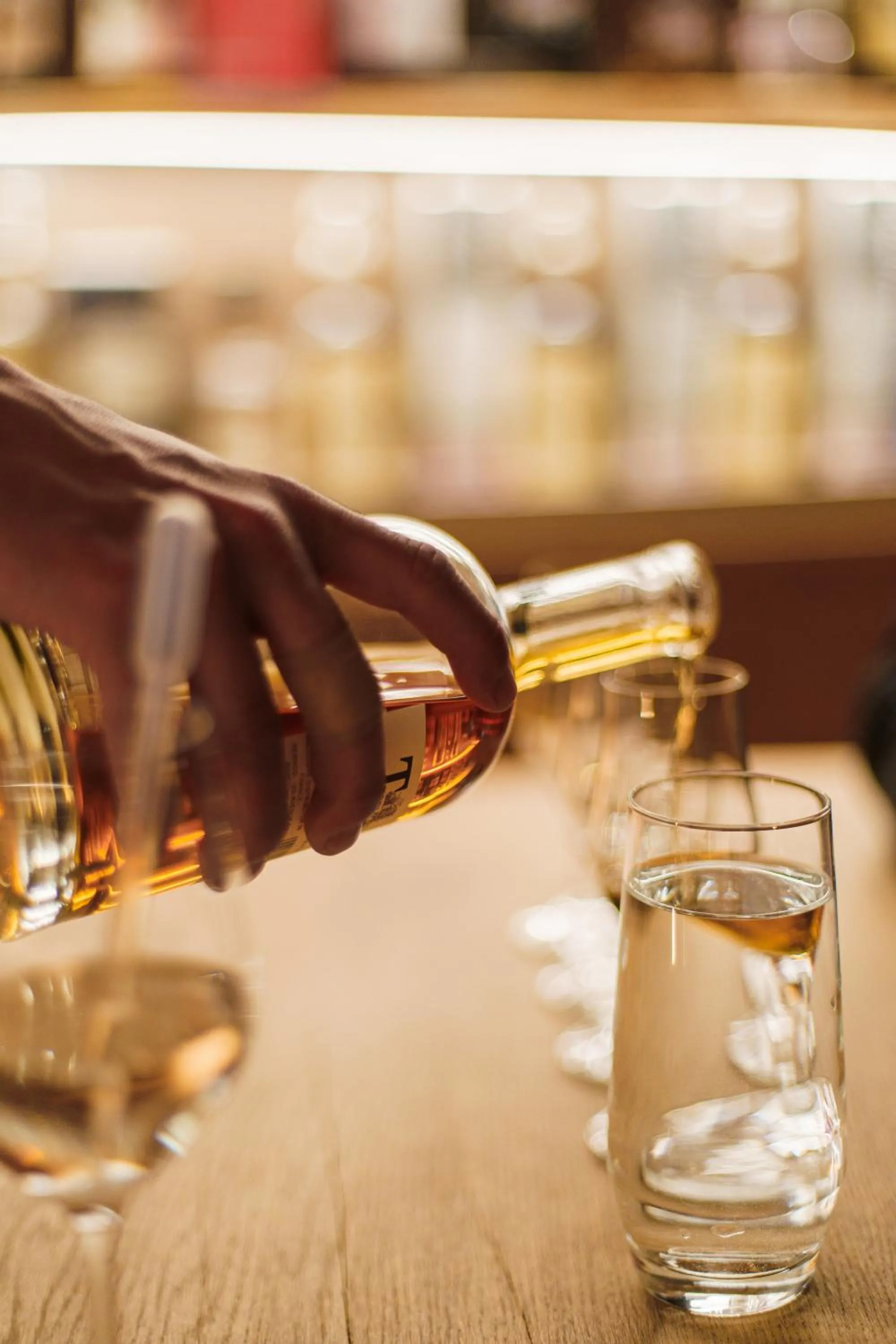 Lounge or bar in Hotel Waldhaus am See