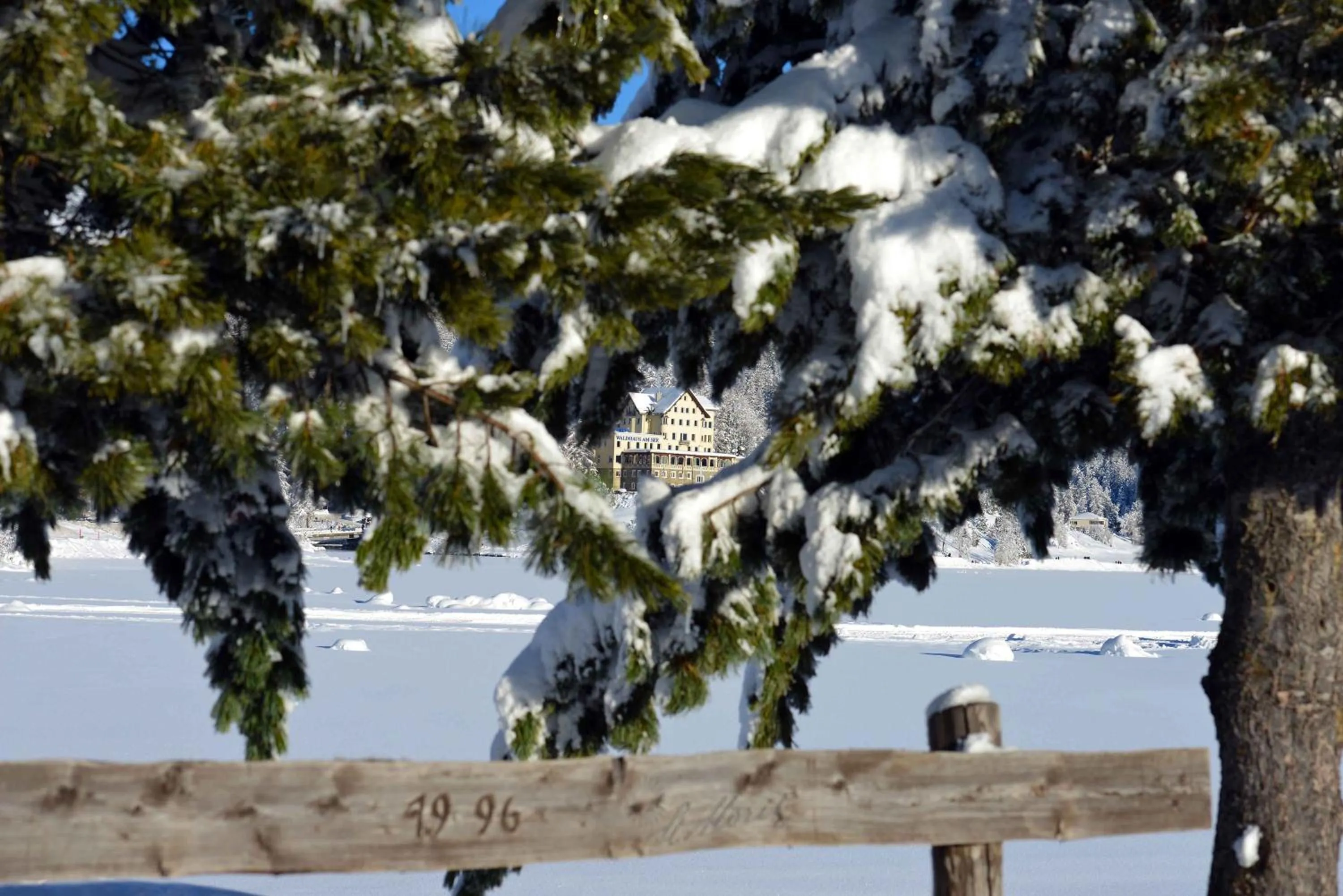 Area and facilities in Hotel Waldhaus am See