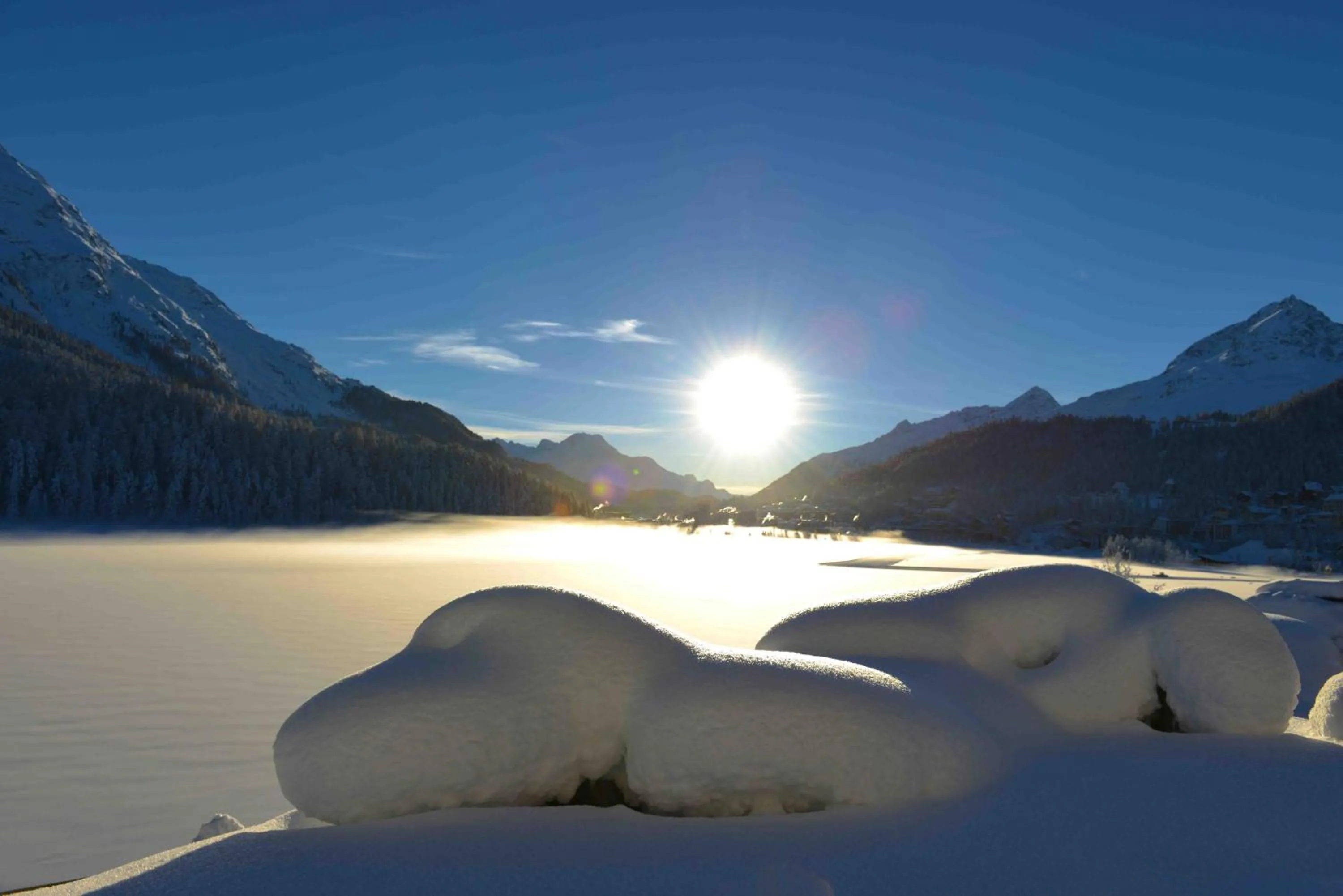 Area and facilities in Hotel Waldhaus am See