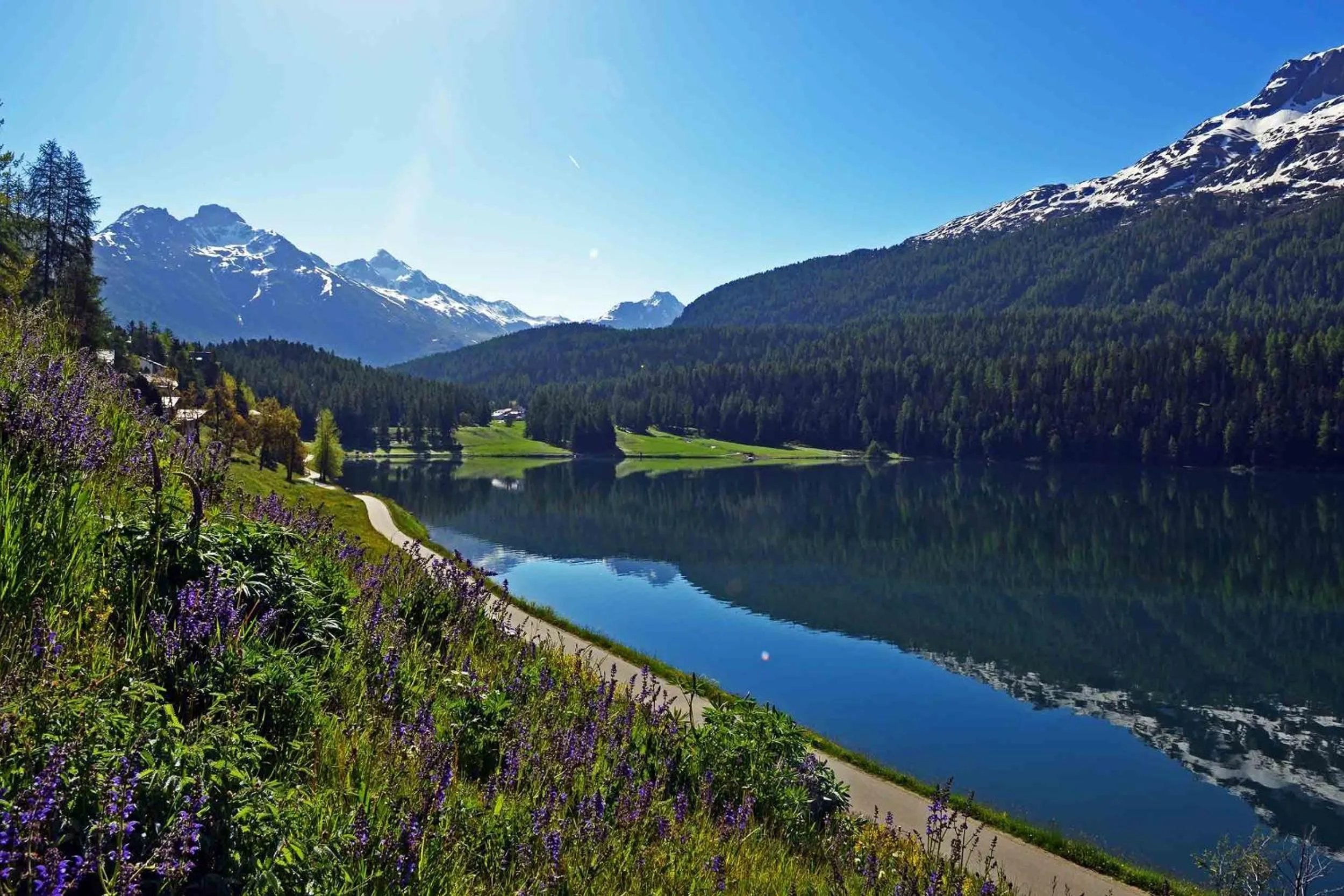 View (from property/room) in Hotel Waldhaus am See