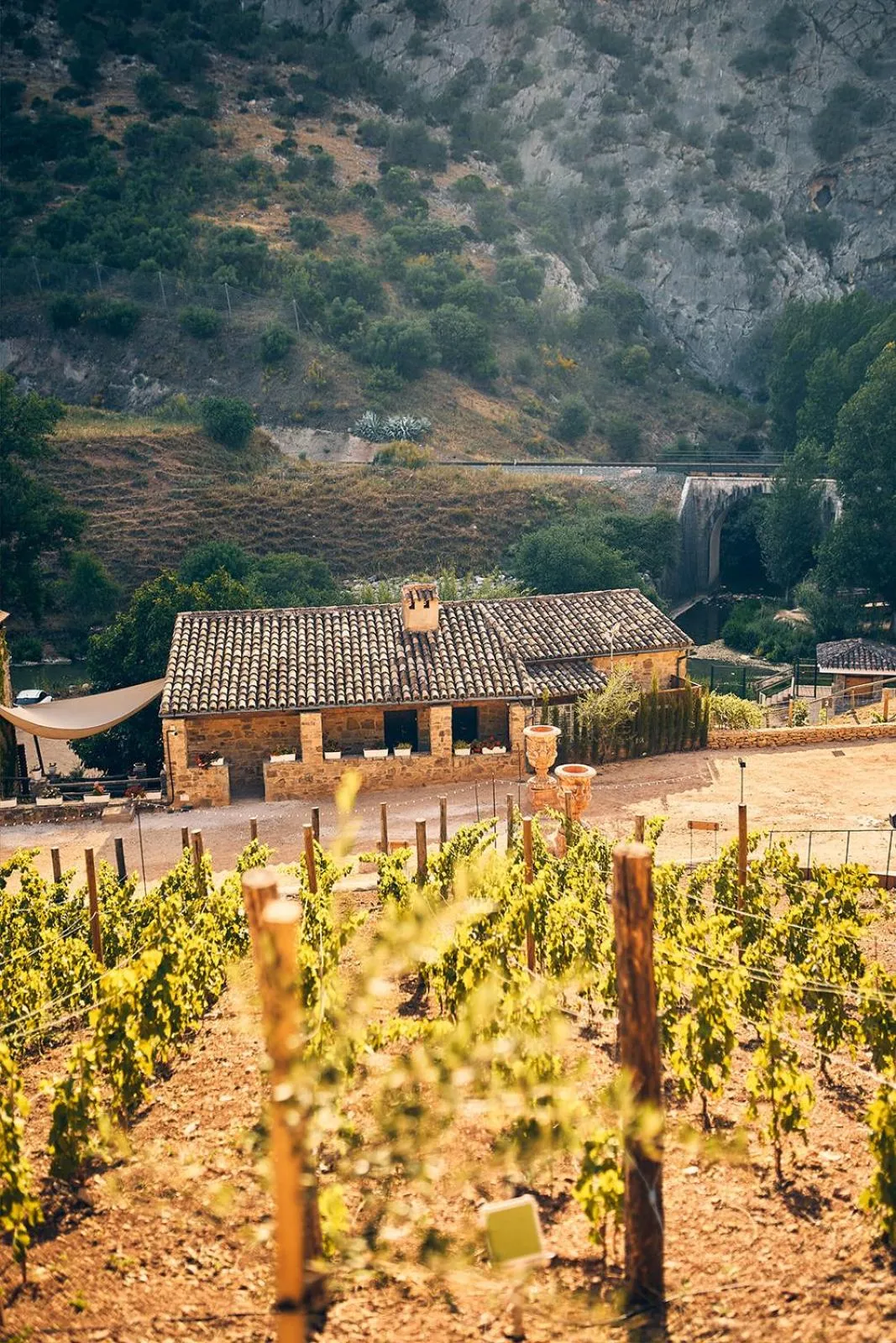 Natural landscape in Eco Hotel Cueva del Gato