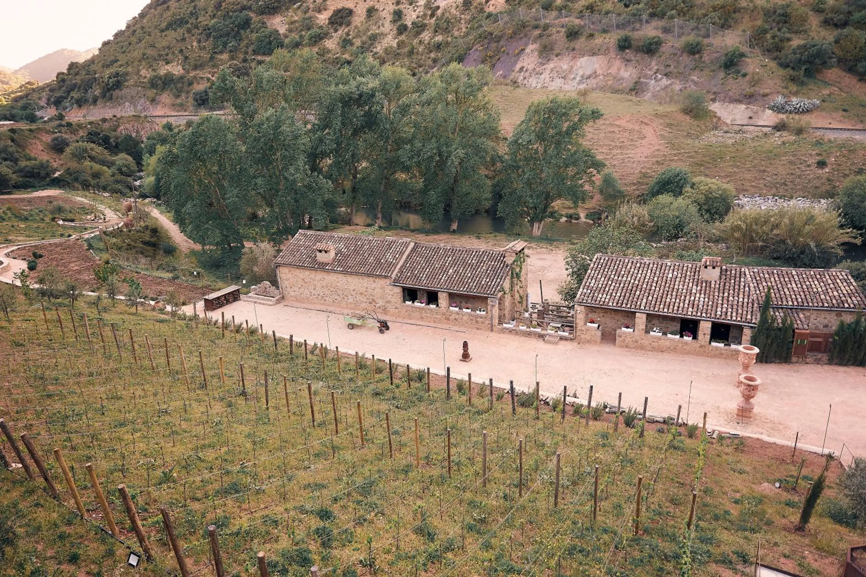 Natural landscape in Eco Hotel Cueva del Gato