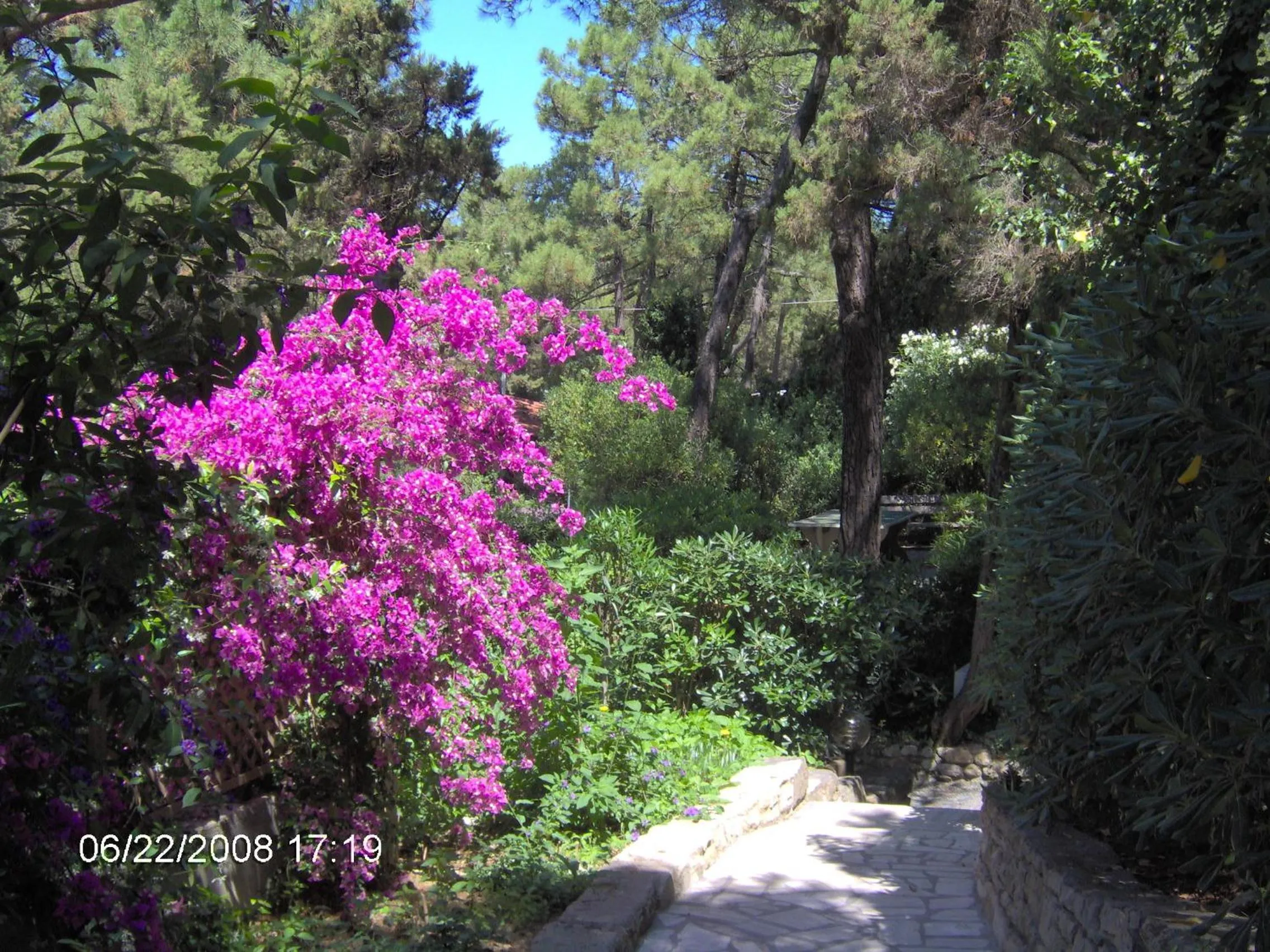Garden view in Residence Casa Di Caccia
