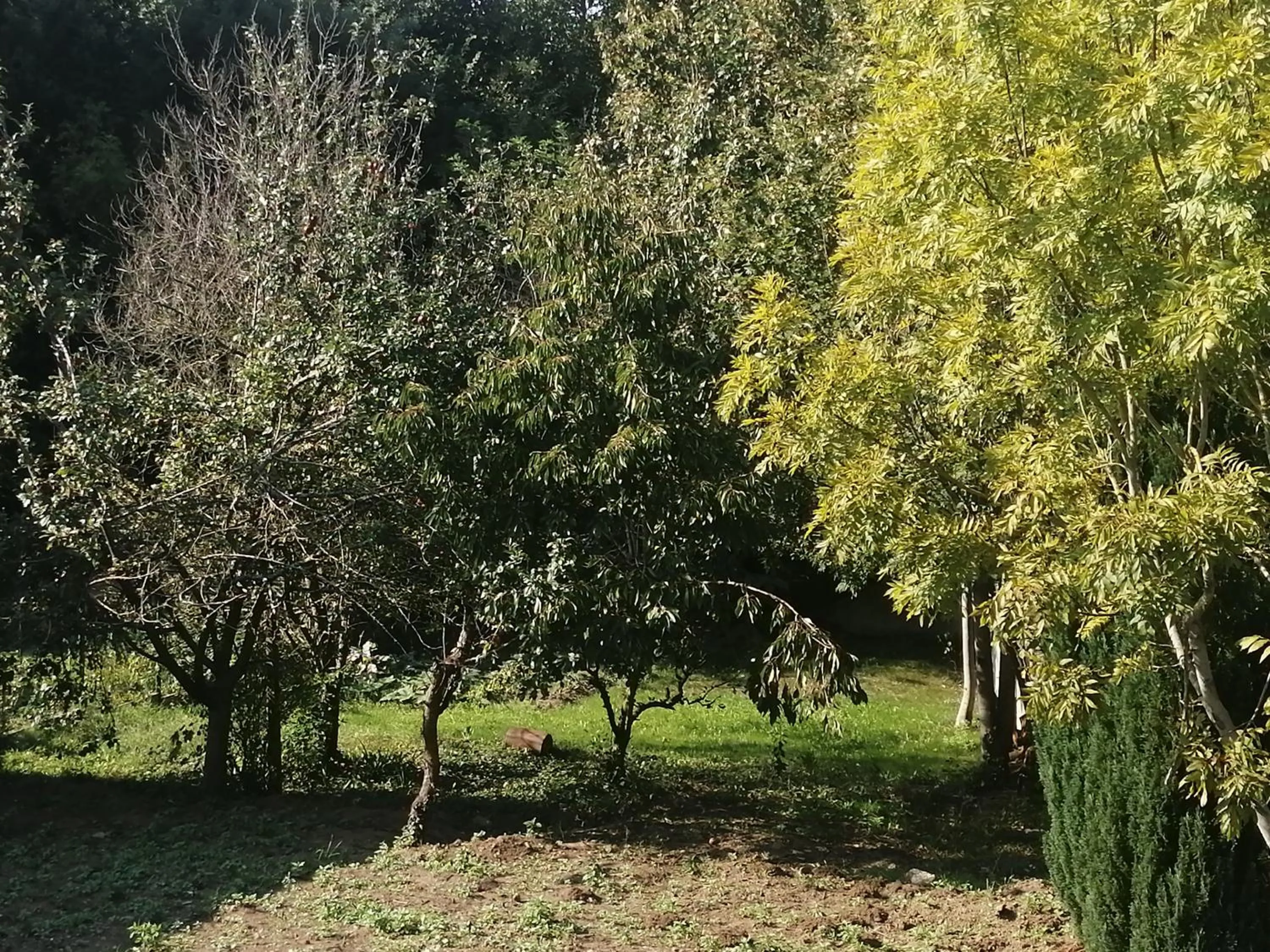 Garden in Chambres d'hôtes cosy avec salle de bain privative - Wifi - cuisine partagée - Parking gratuit