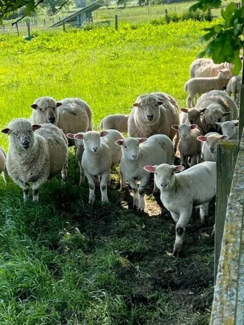 Garden in The Coppleridge Inn