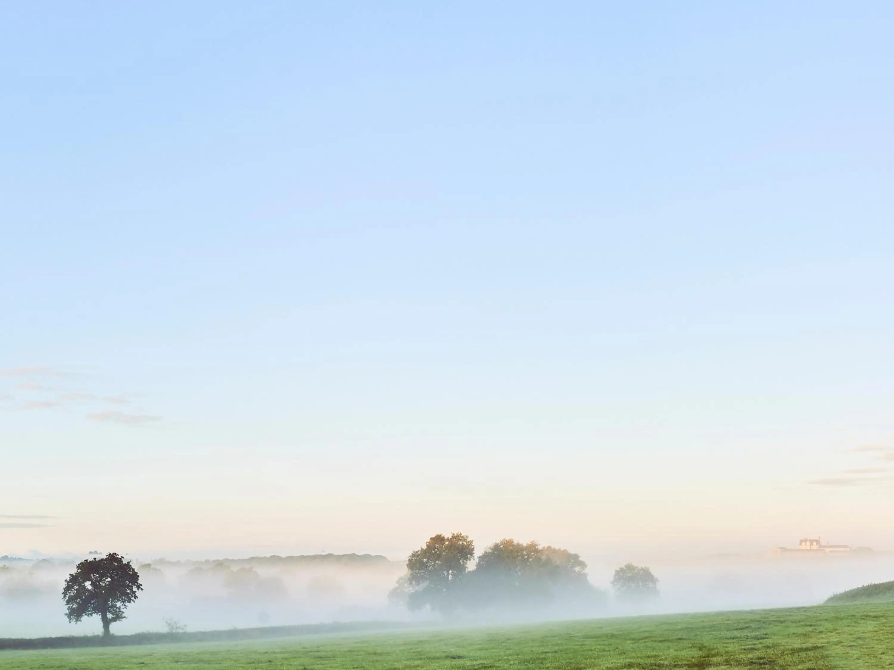 View (from property/room) in The Coppleridge Inn